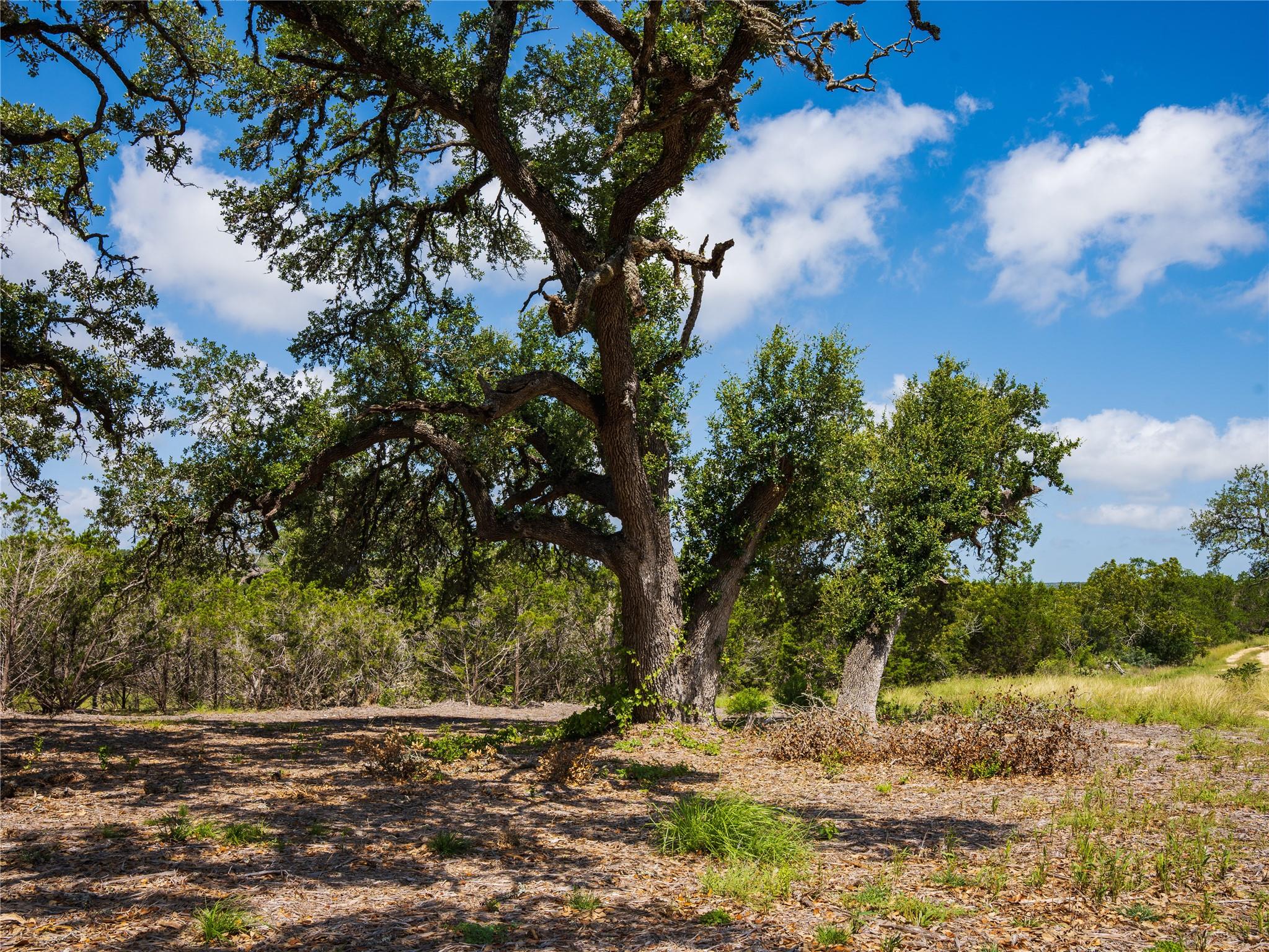 000 Heritage Creek Ranch, Dripping Springs, TX 78676
