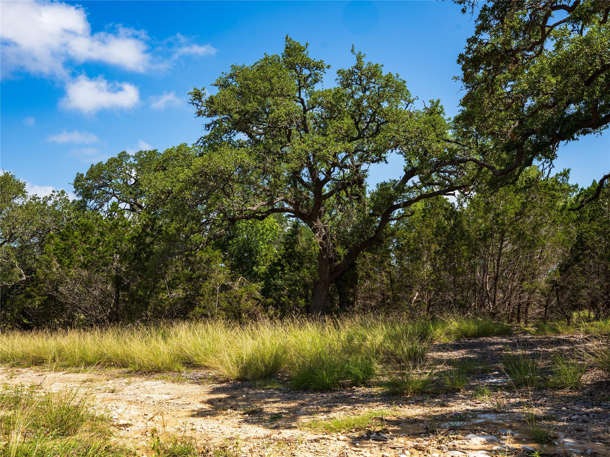 000 Heritage Creek Ranch, Dripping Springs, TX 78676