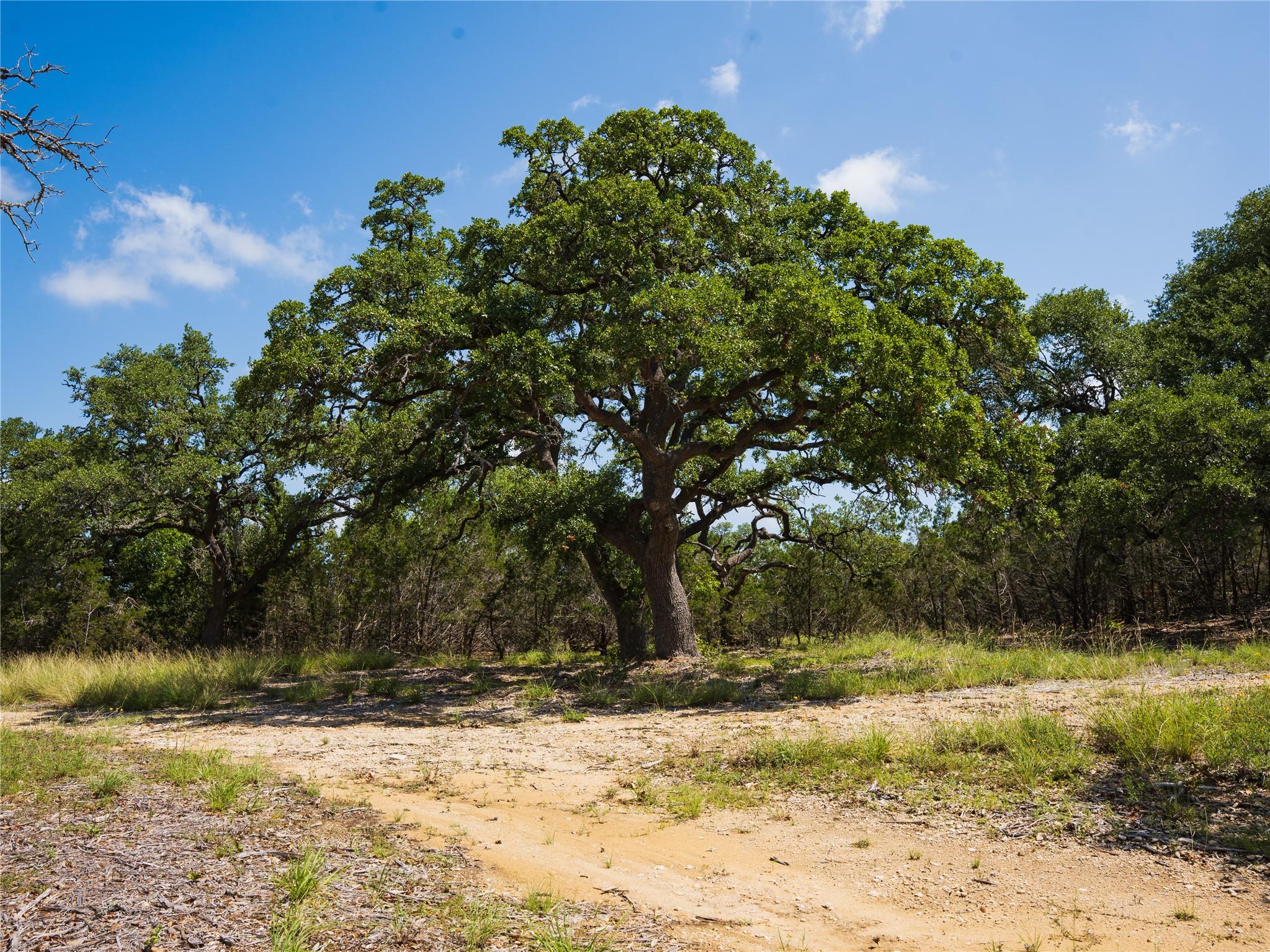 000 Heritage Creek Ranch, Dripping Springs, TX 78676