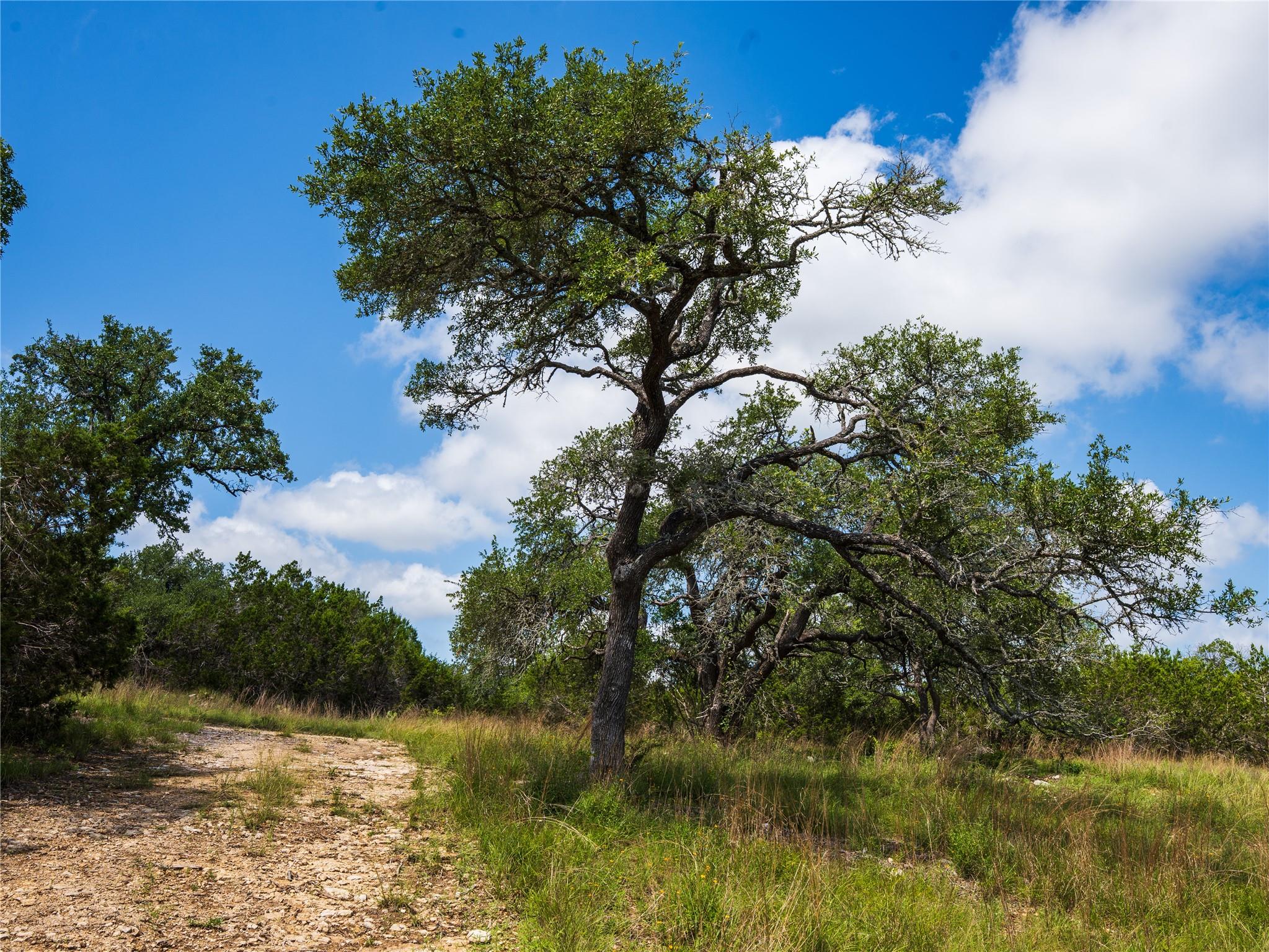000 Heritage Creek Ranch, Dripping Springs, TX 78676