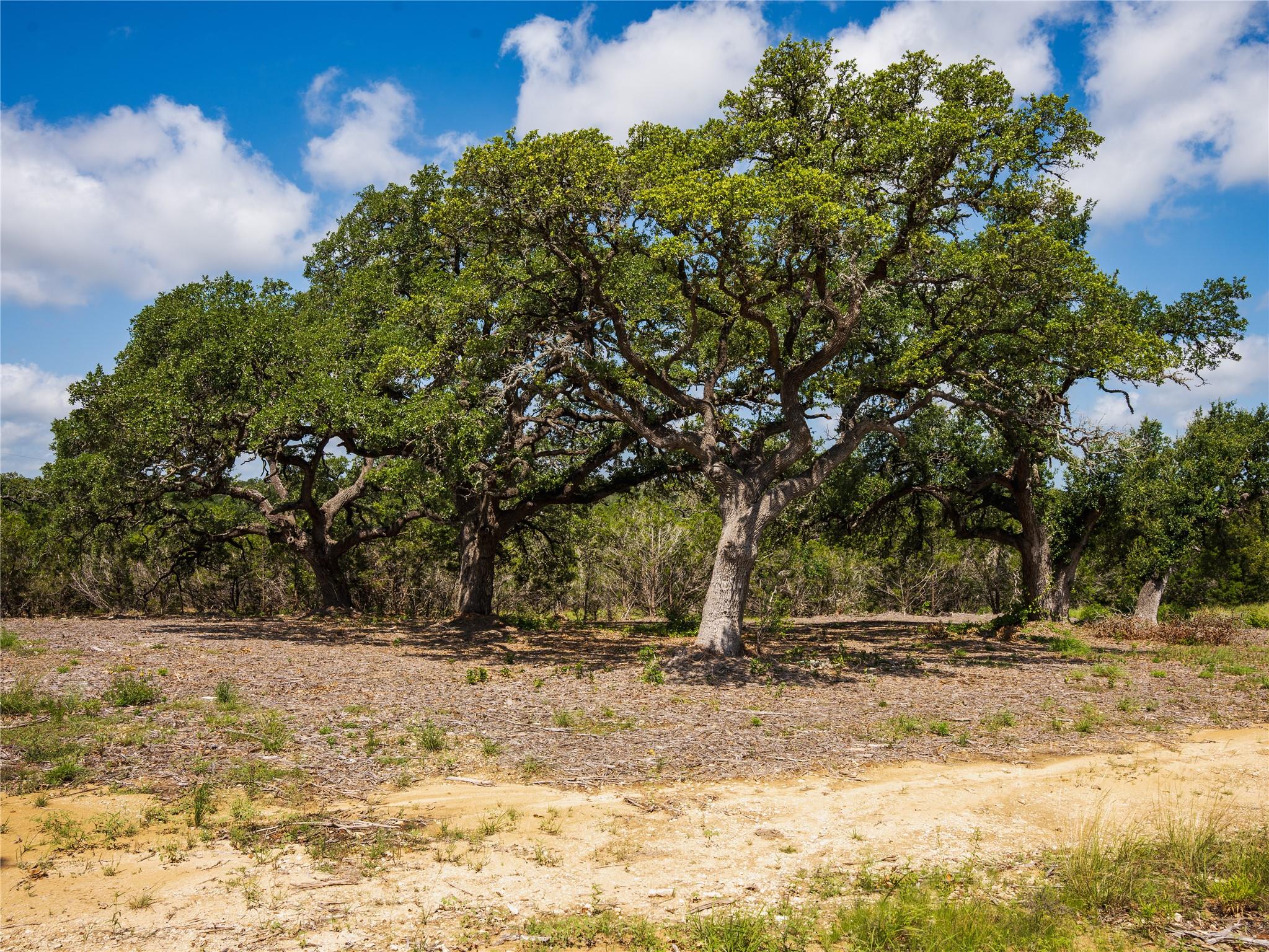 000 Heritage Creek Ranch, Dripping Springs, TX 78676