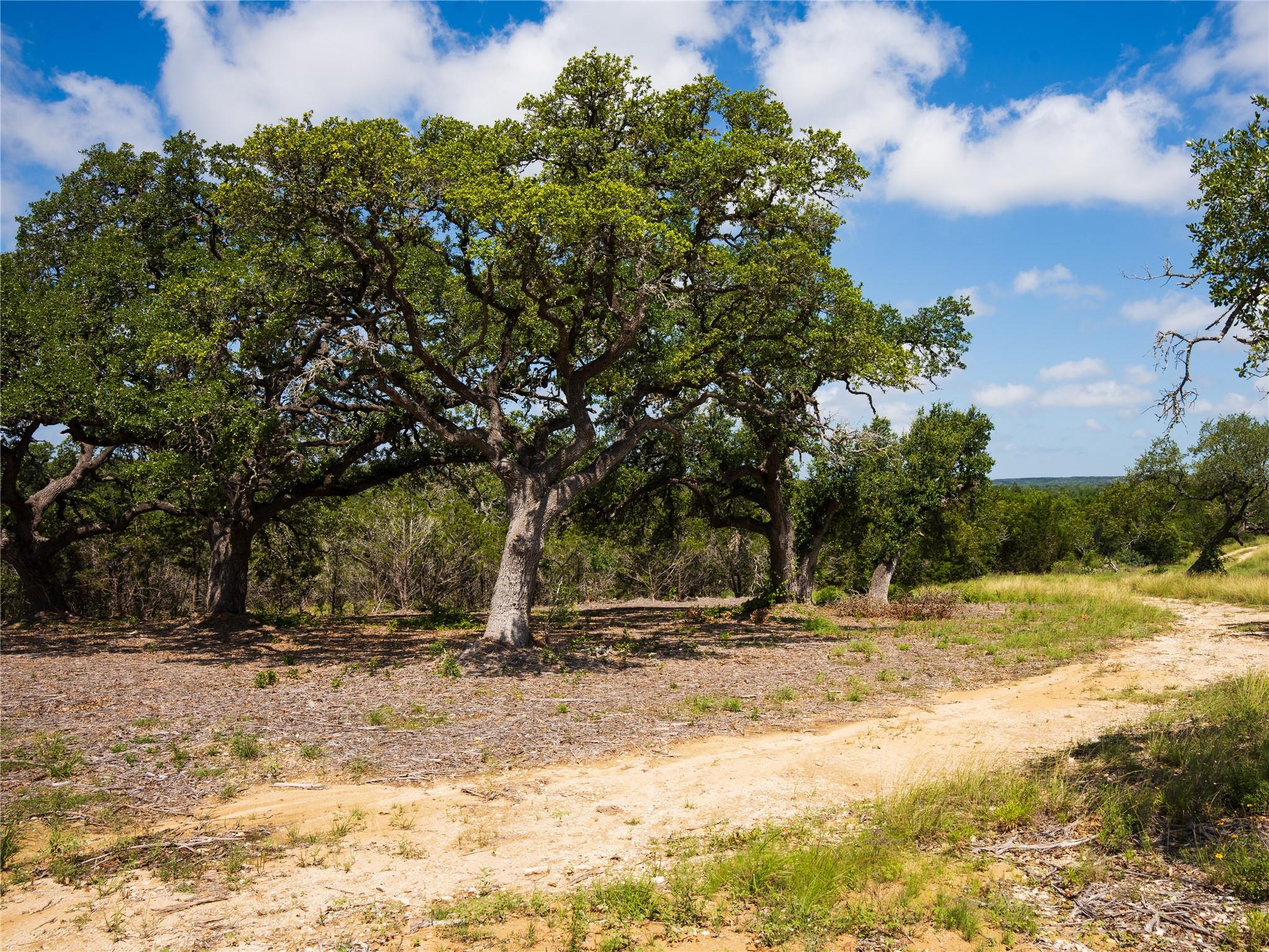 000 Heritage Creek Ranch, Dripping Springs, TX 78676