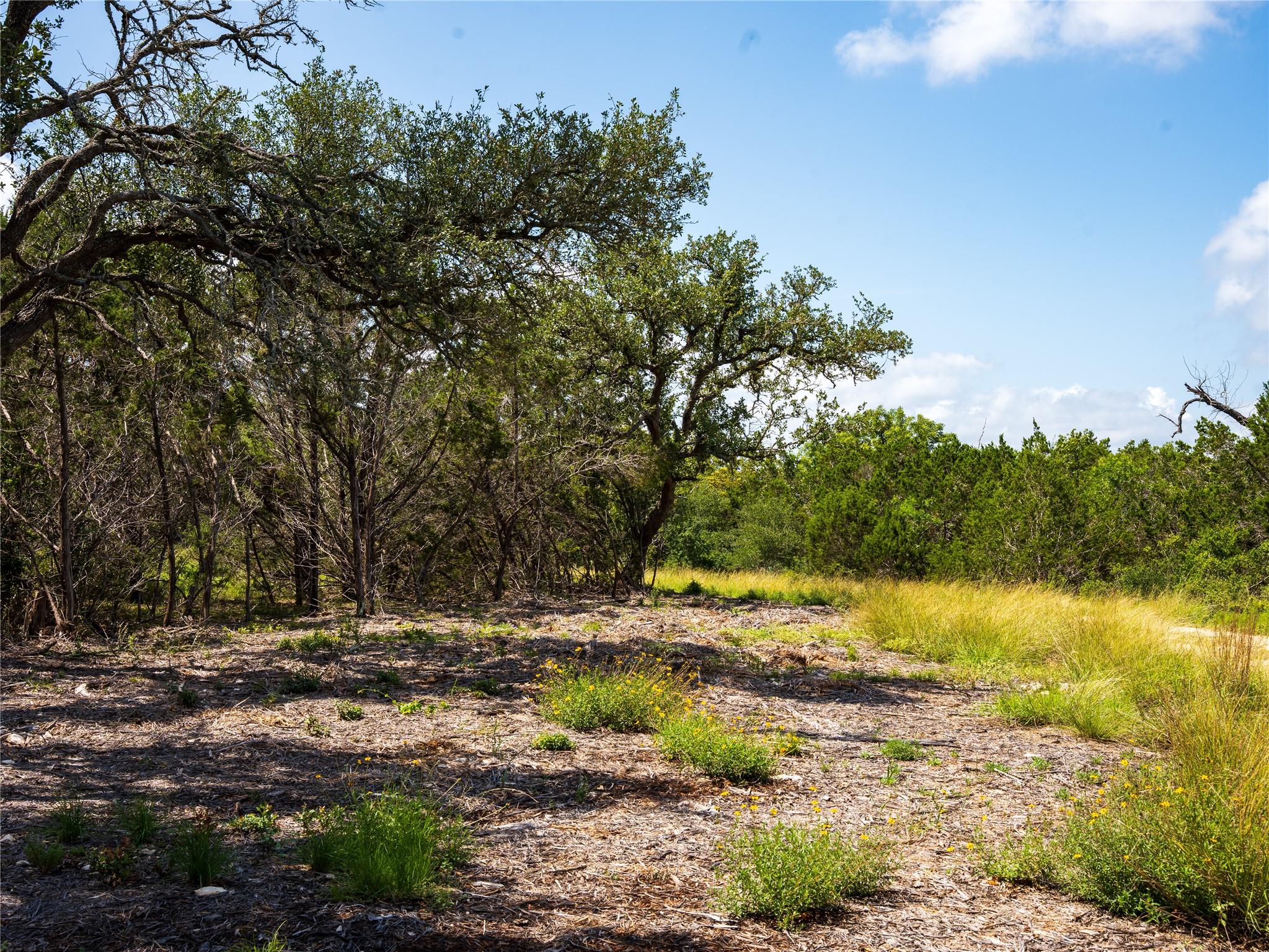 000 Heritage Creek Ranch, Dripping Springs, TX 78676