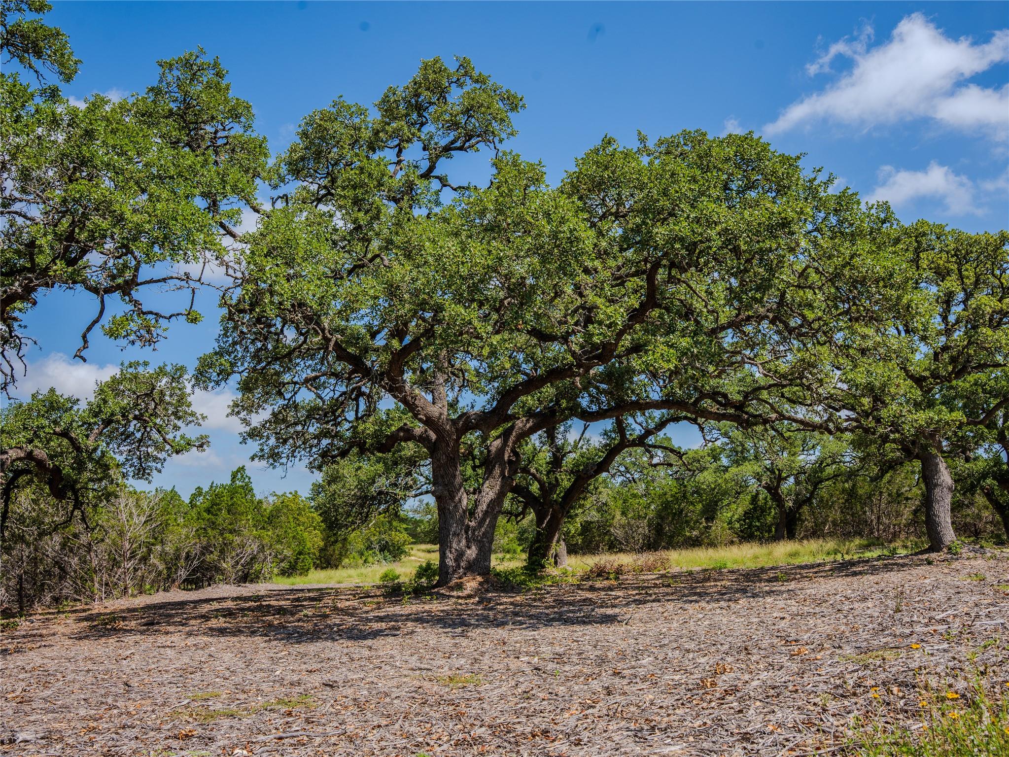 000 Heritage Creek Ranch, Dripping Springs, TX 78676