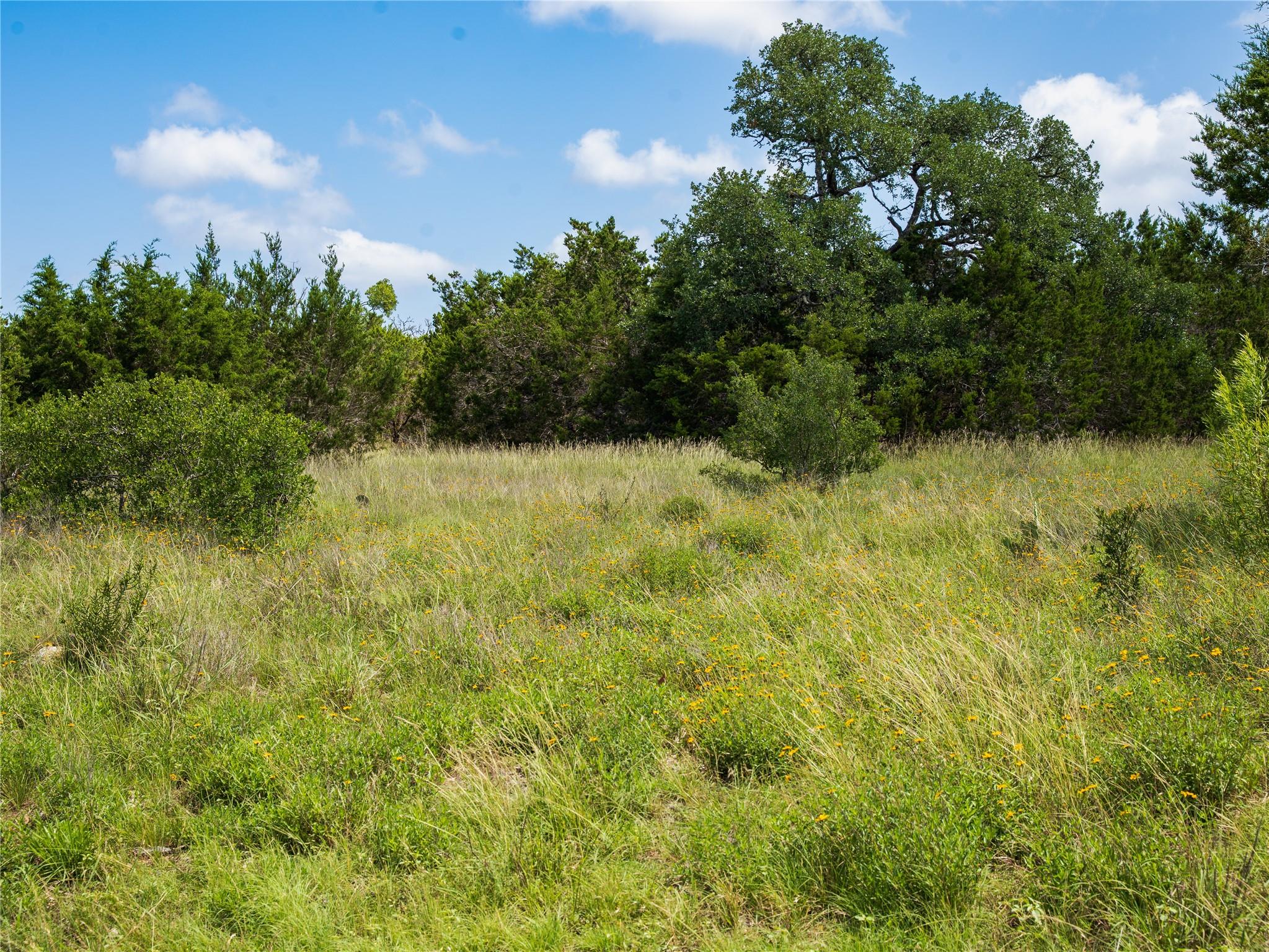 000 Heritage Creek Ranch, Dripping Springs, TX 78676