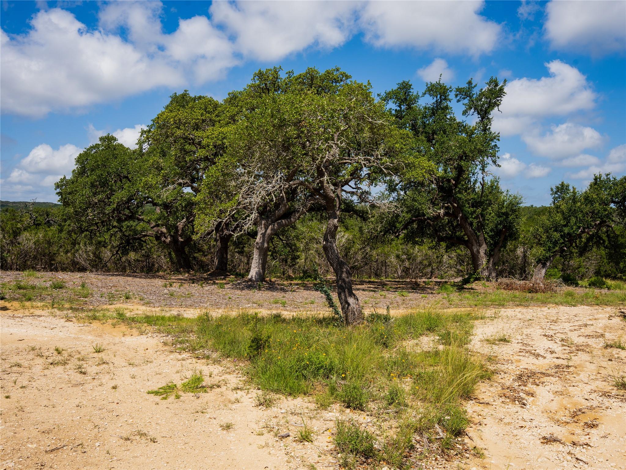 000 Heritage Creek Ranch, Dripping Springs, TX 78676