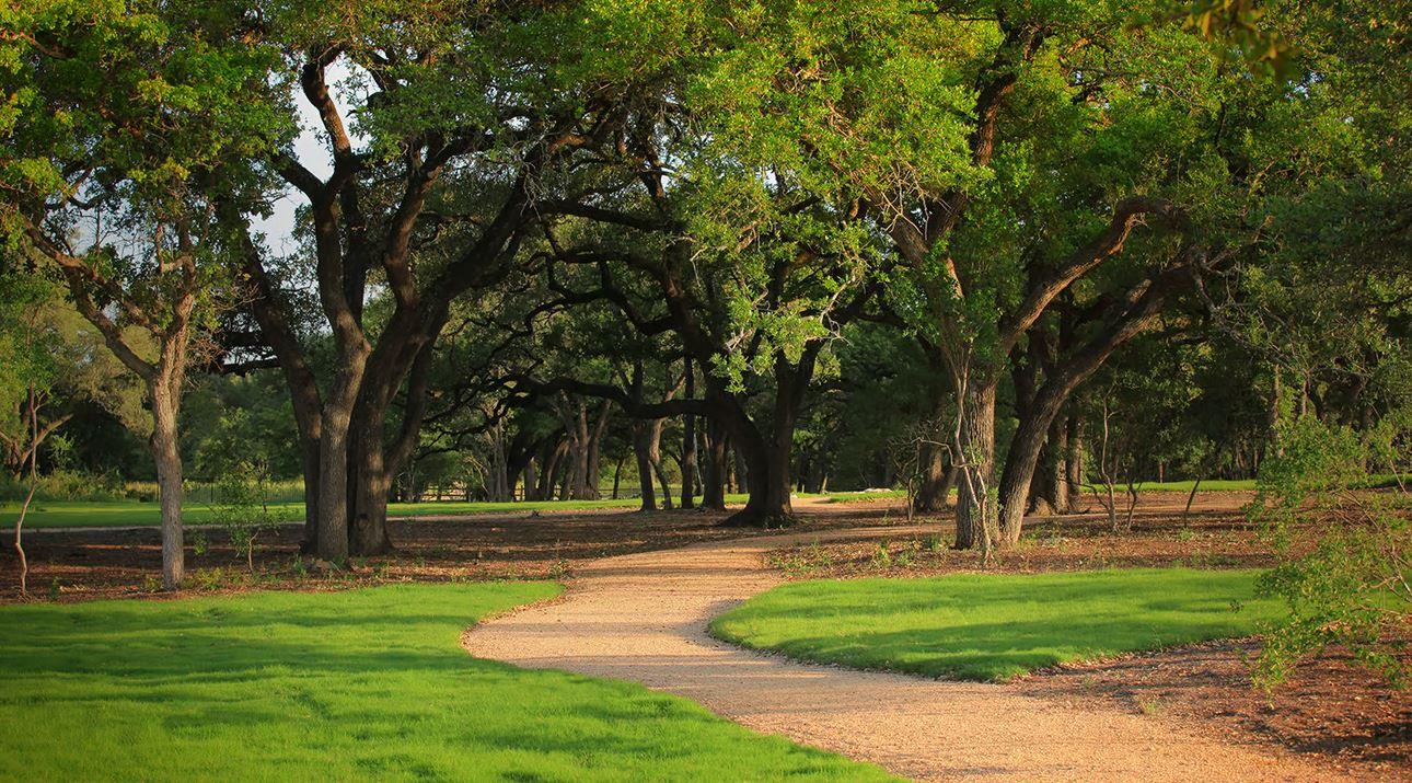 1716 Morning Mist Dr, Georgetown, TX 78628