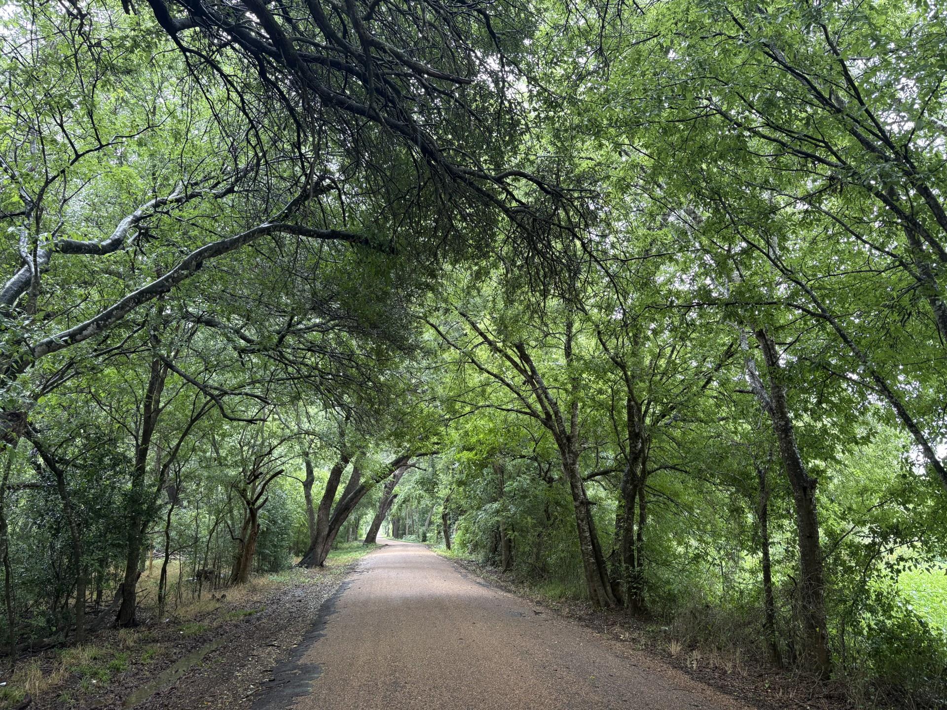 394 Country Way Rd, Smithville, TX 78957
