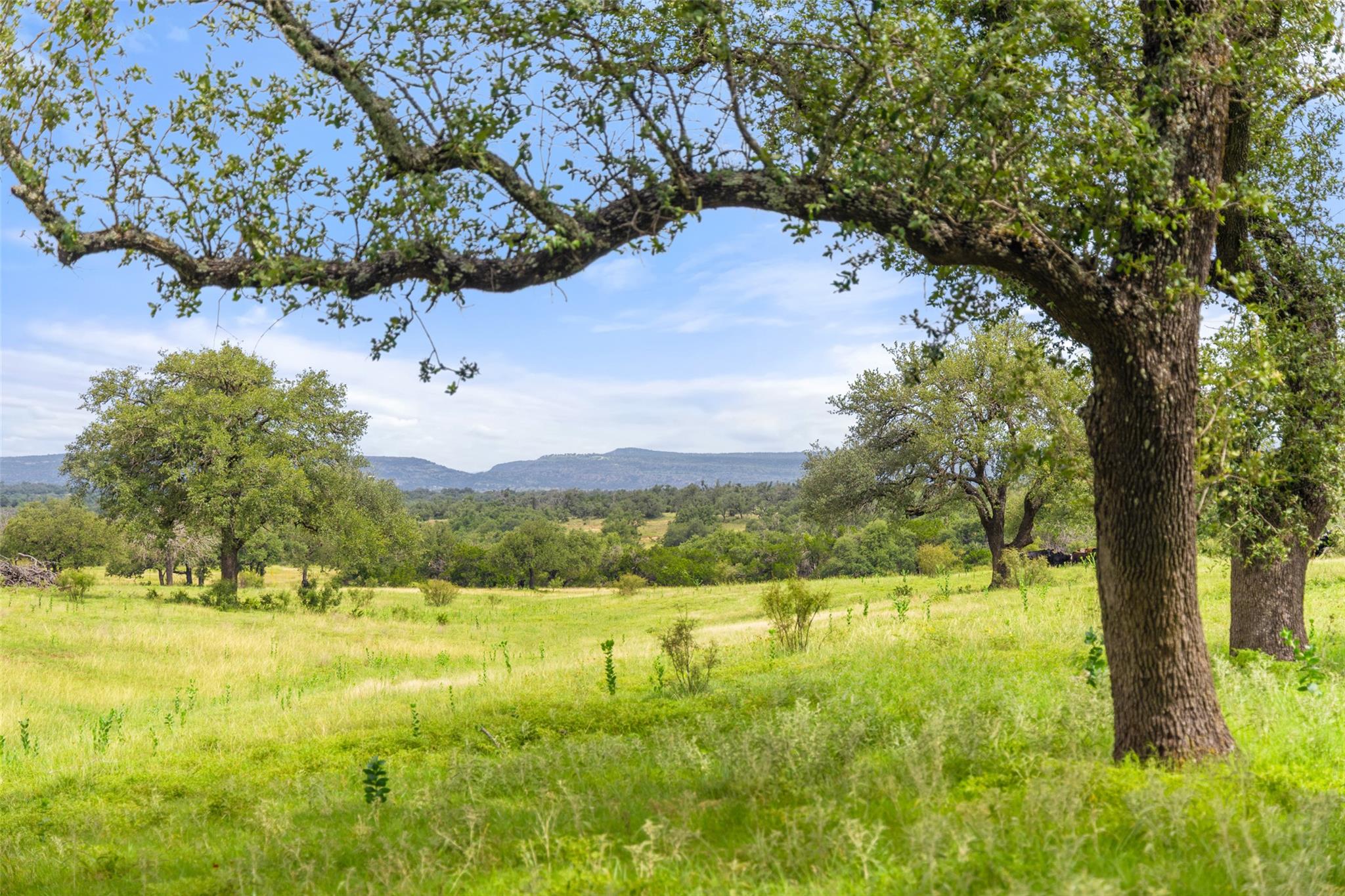 9069-39 Ranch Road 1323 Rd, Fredericksburg, TX 78624