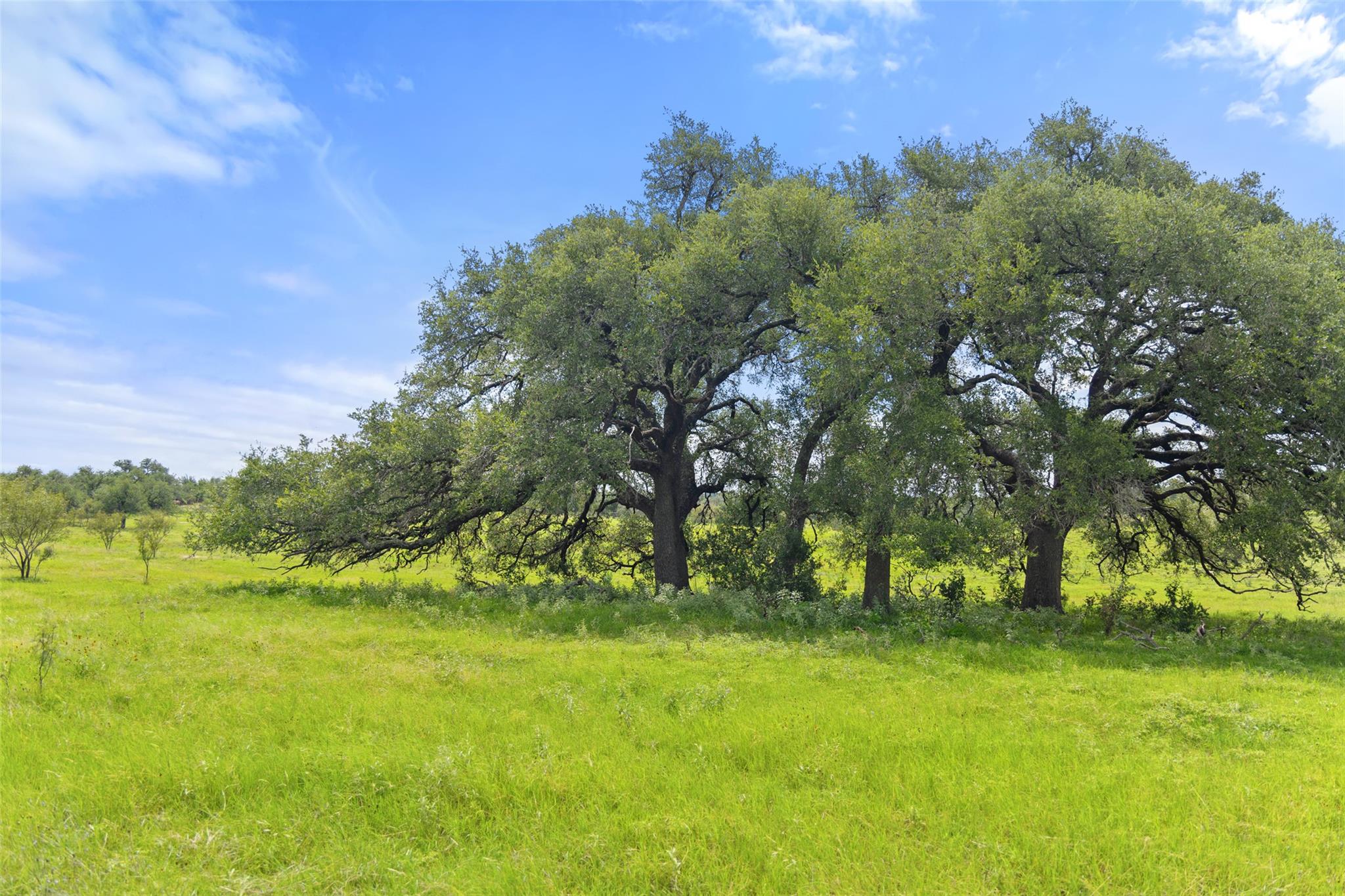 9069-39 Ranch Road 1323 Rd, Fredericksburg, TX 78624