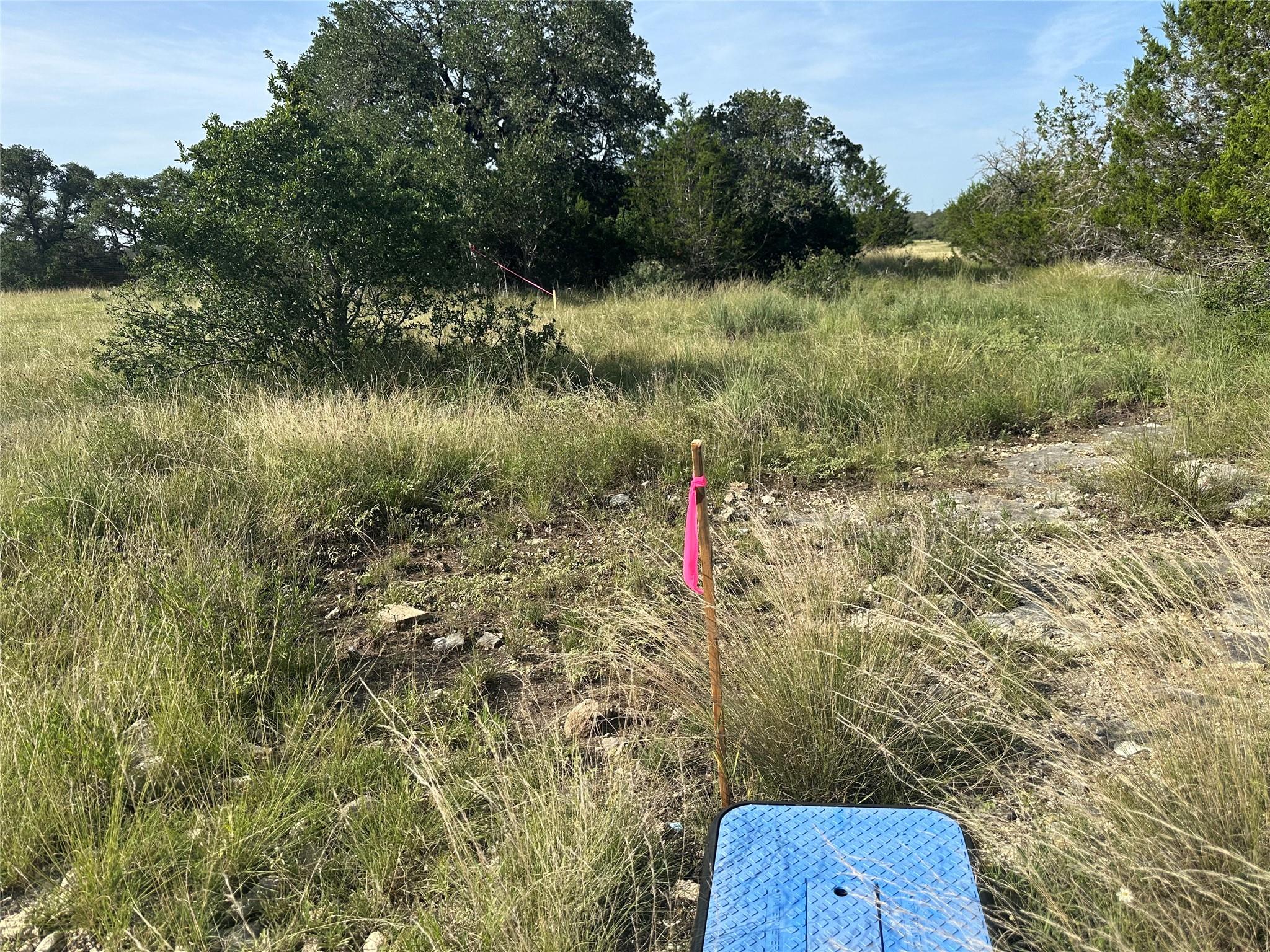 110 W Alex Jordan St, Blanco, TX 78606