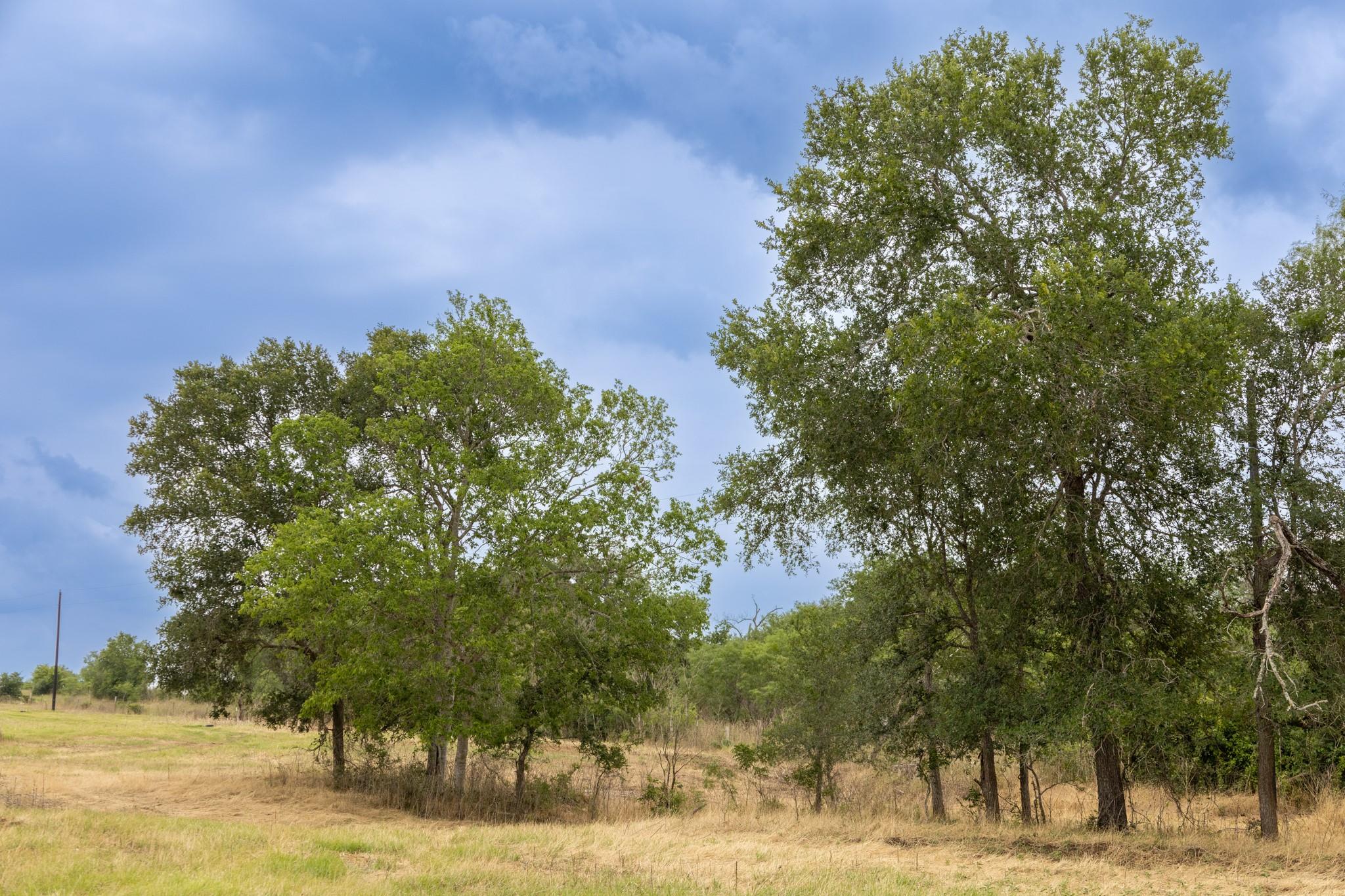 Lot 9 Tenney Creek Rd, Luling, TX 78644