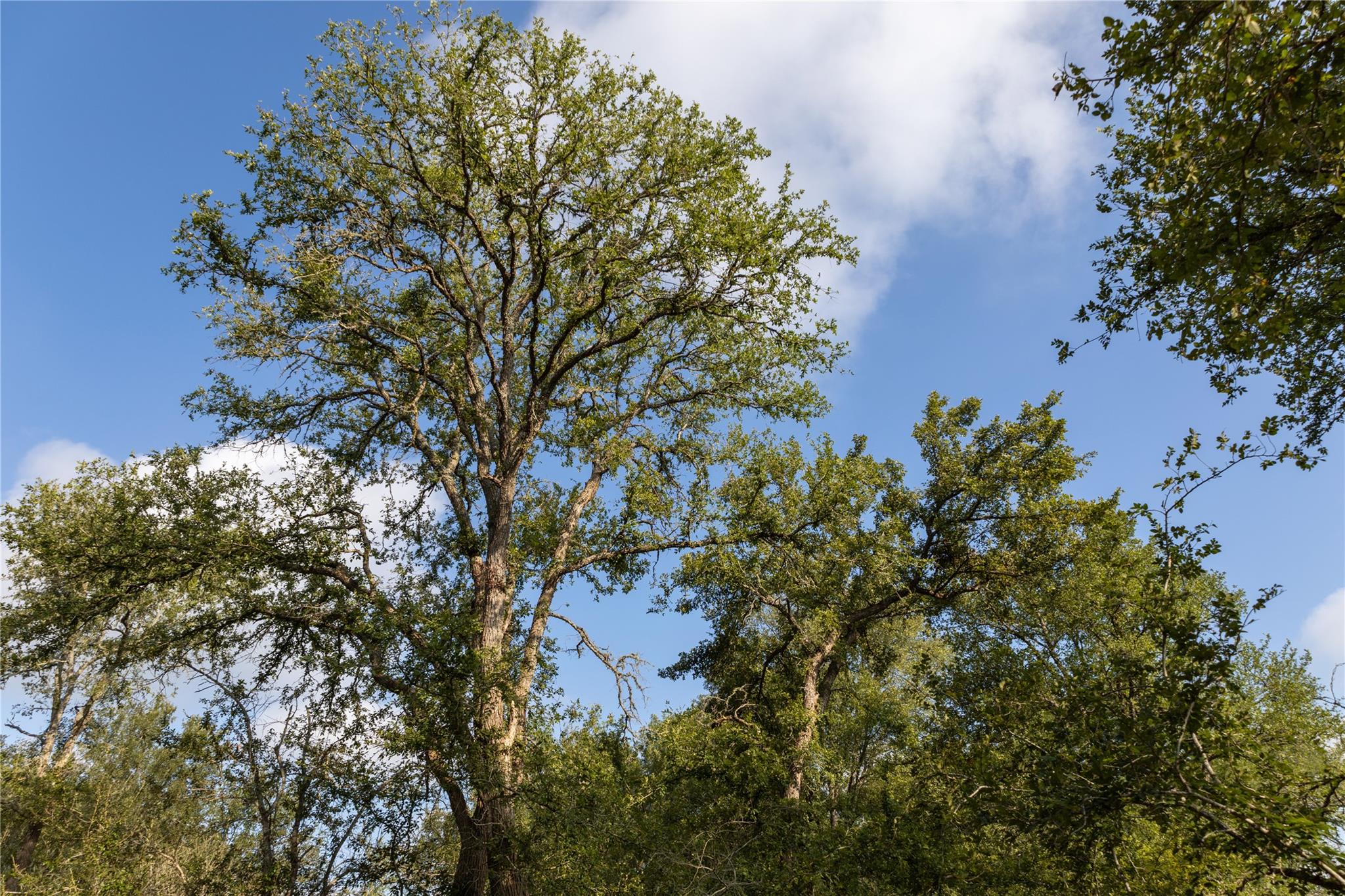 128 Baylen Clifton Ln, Lockhart, TX 78644