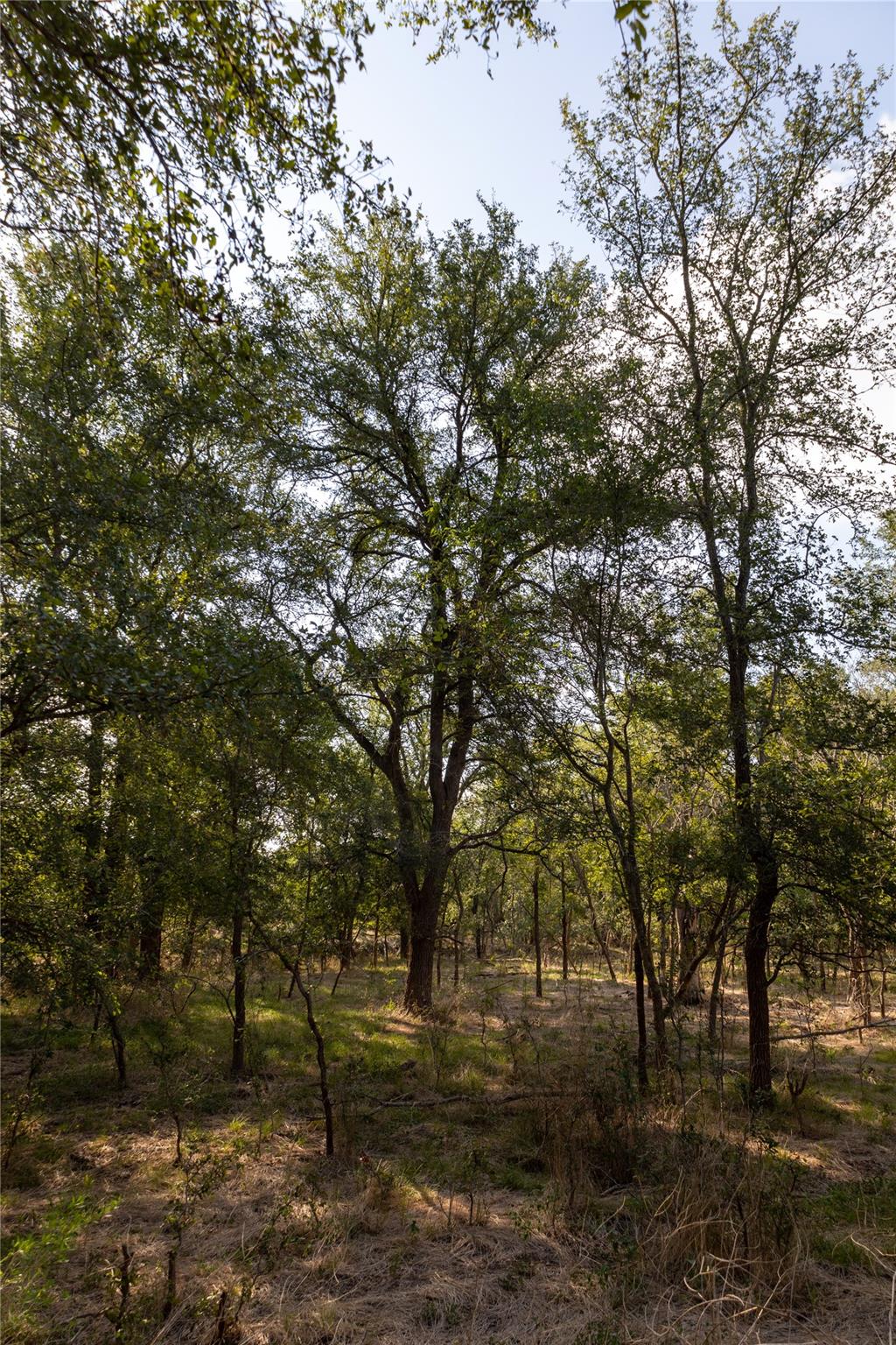 128 Baylen Clifton Ln, Lockhart, TX 78644