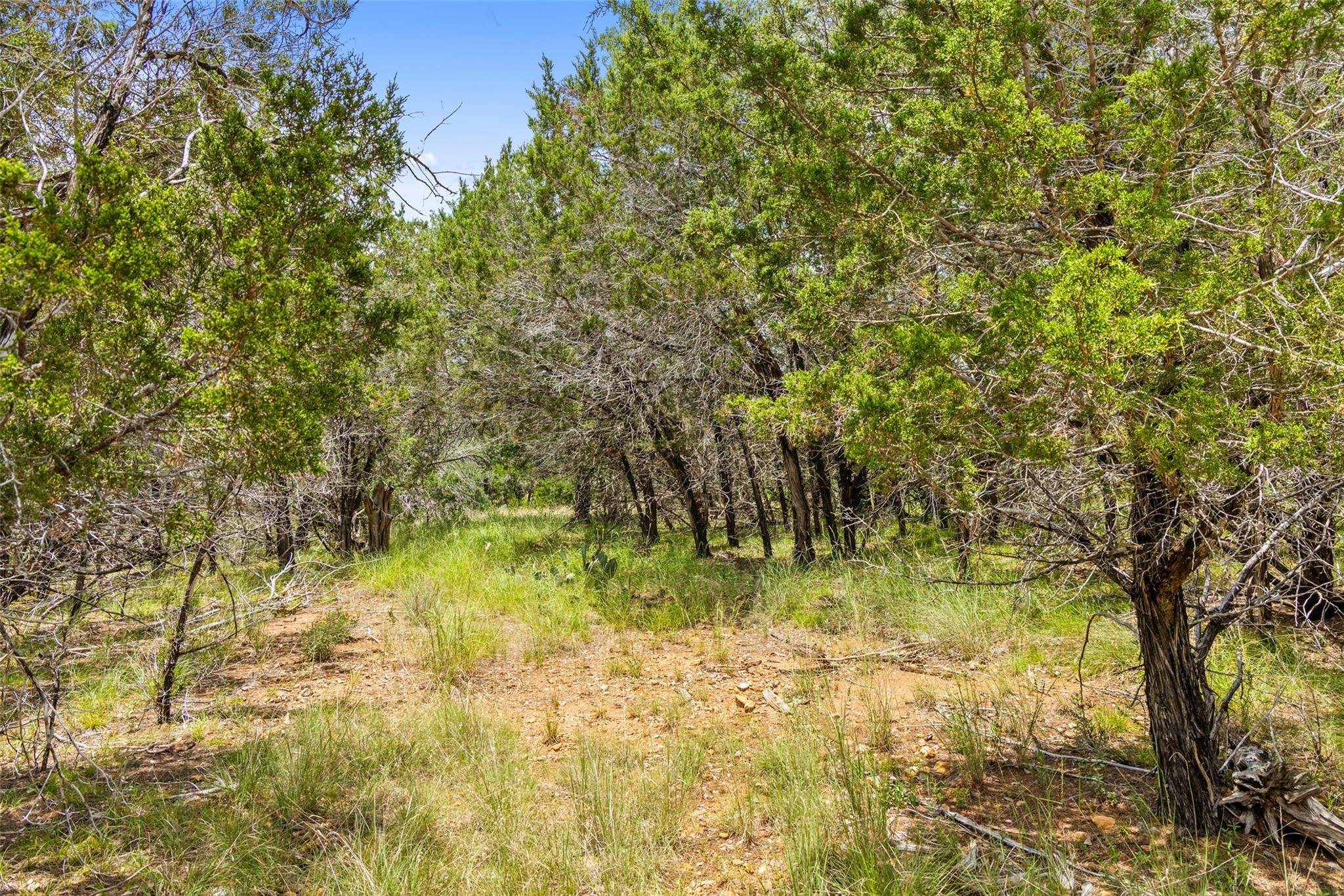 23809 Oscar Rd, Spicewood, TX 78669