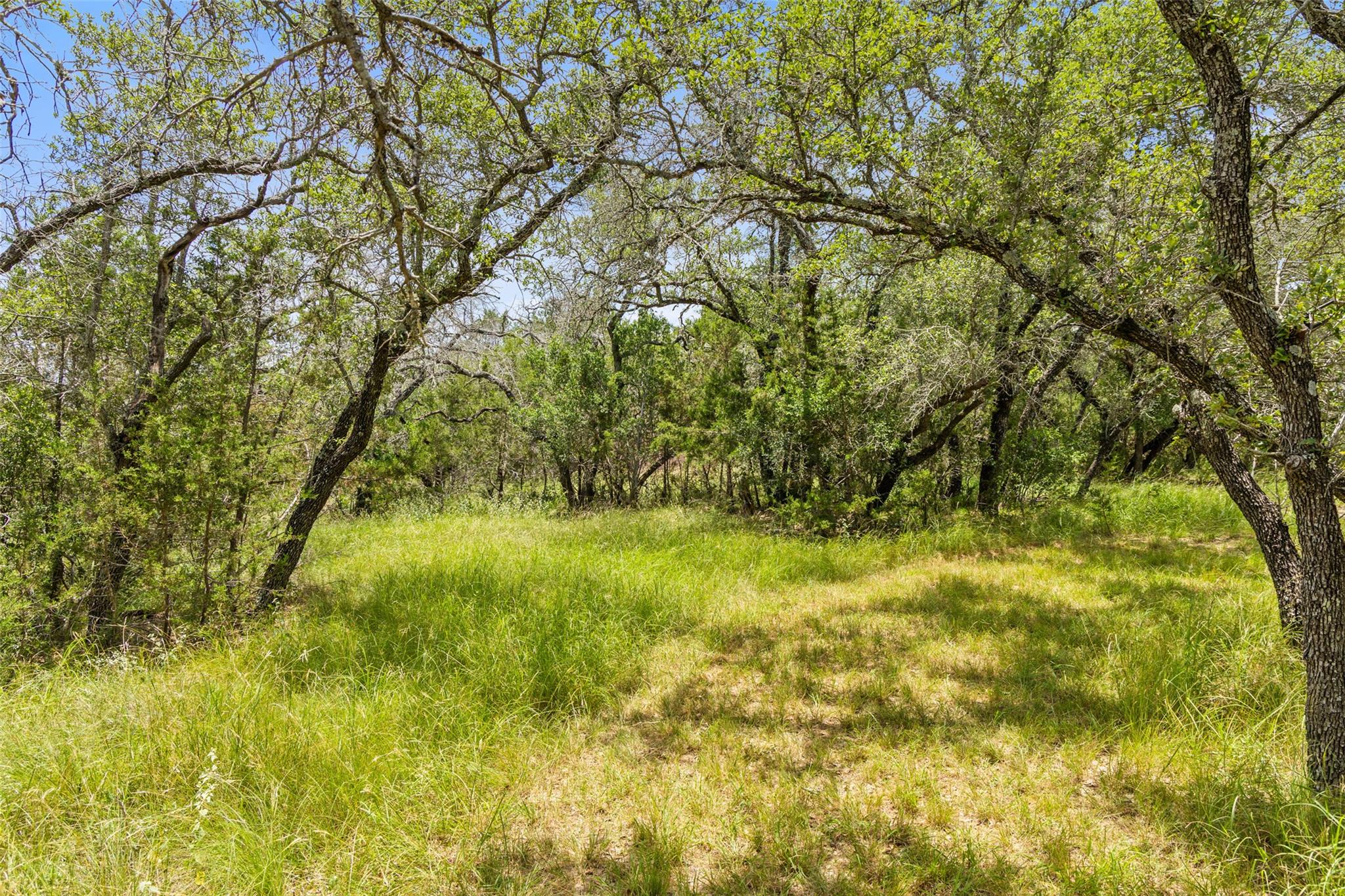 23809 Oscar Rd, Spicewood, TX 78669