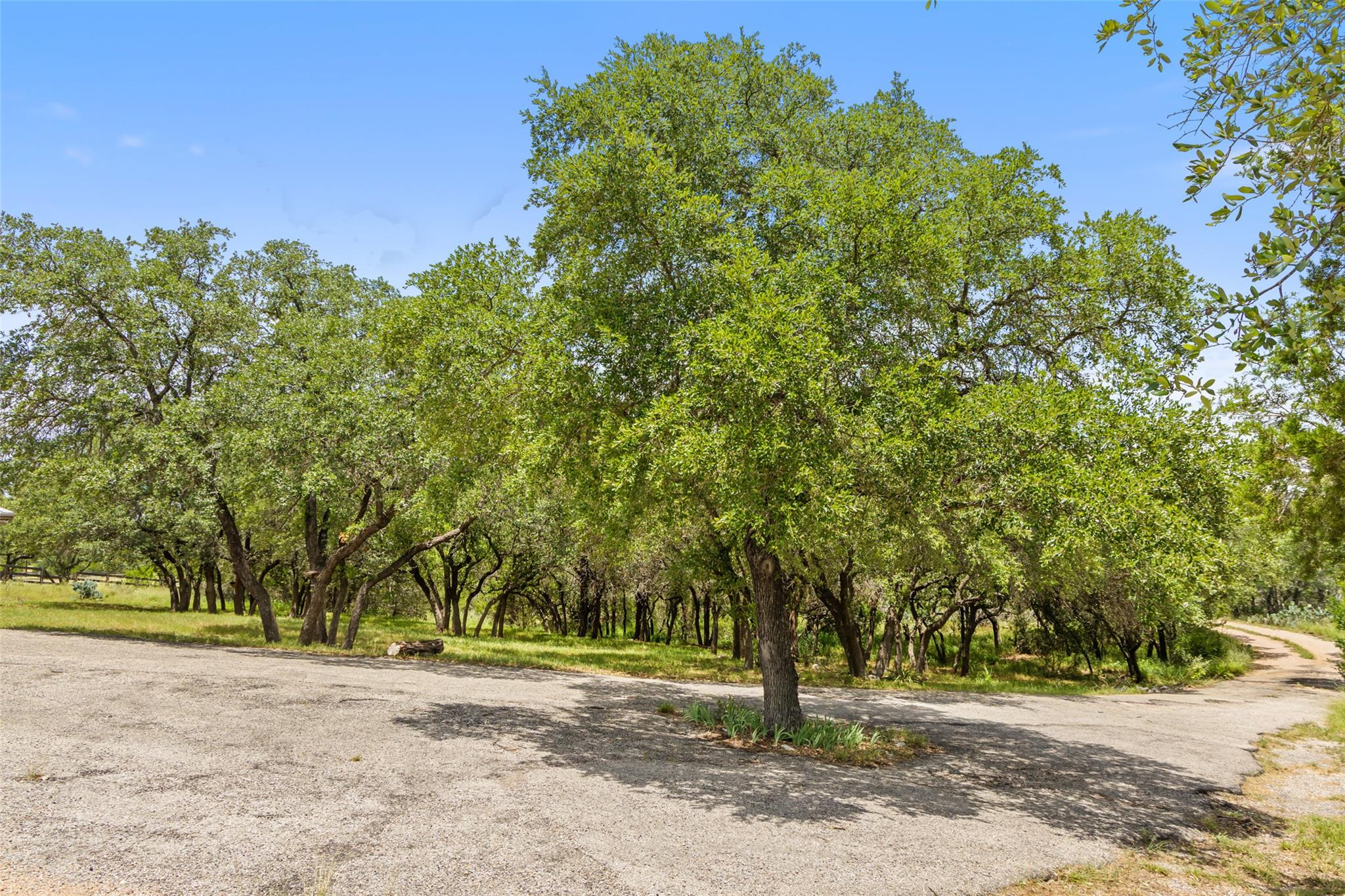 23809 Oscar Rd, Spicewood, TX 78669
