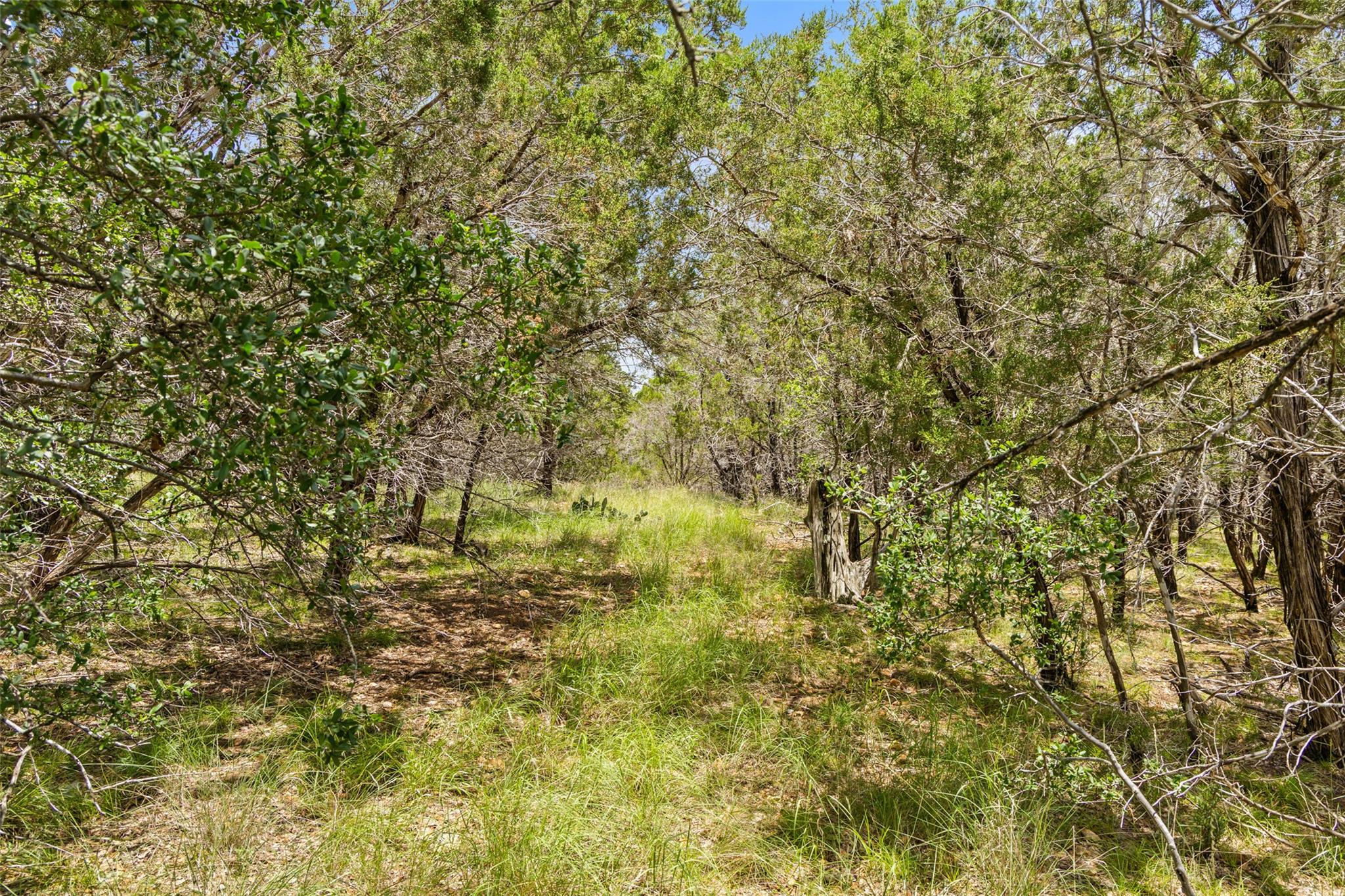 23809 Oscar Rd, Spicewood, TX 78669