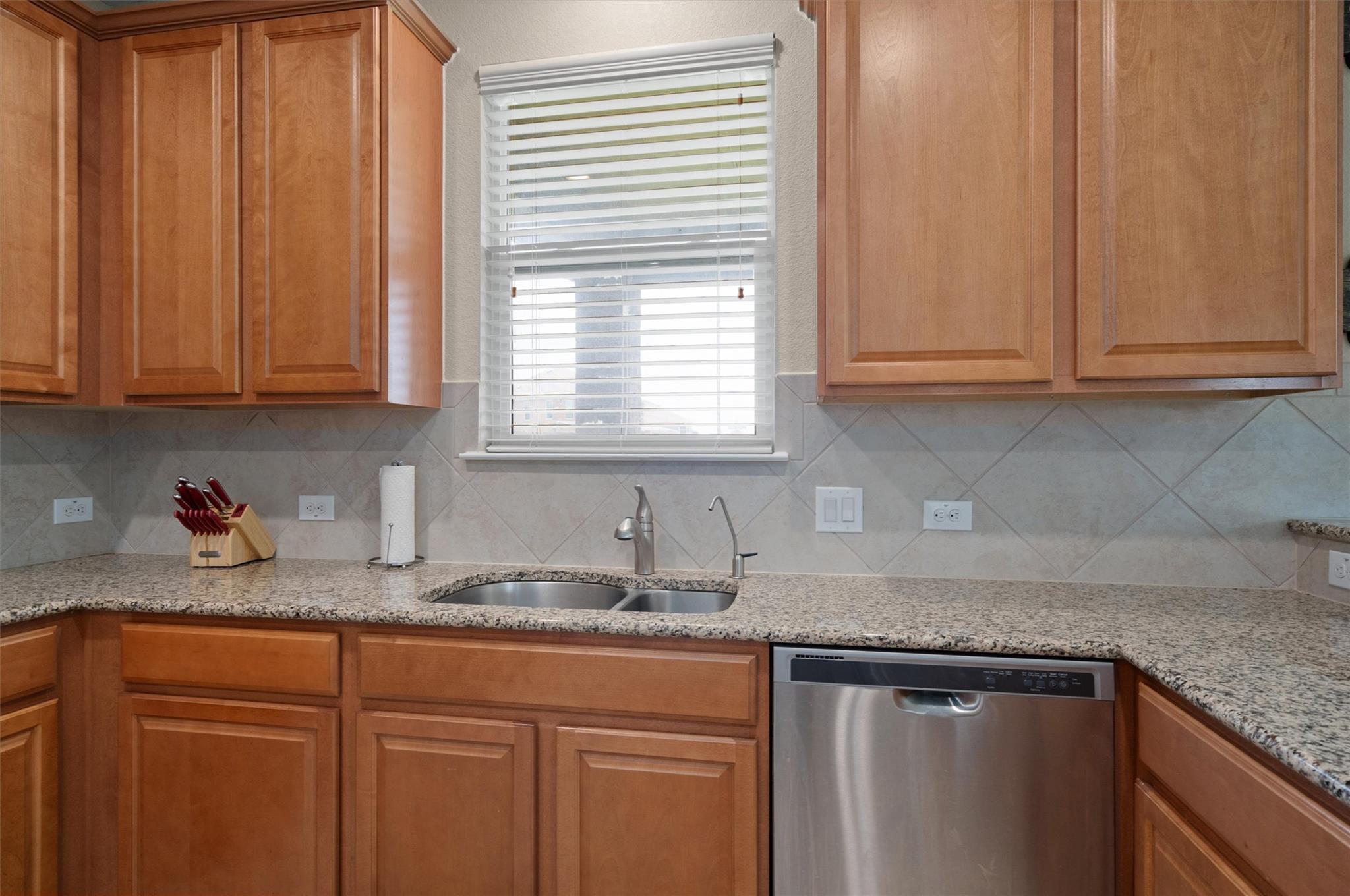 13733 James Garfield St, Manor, TX 78653