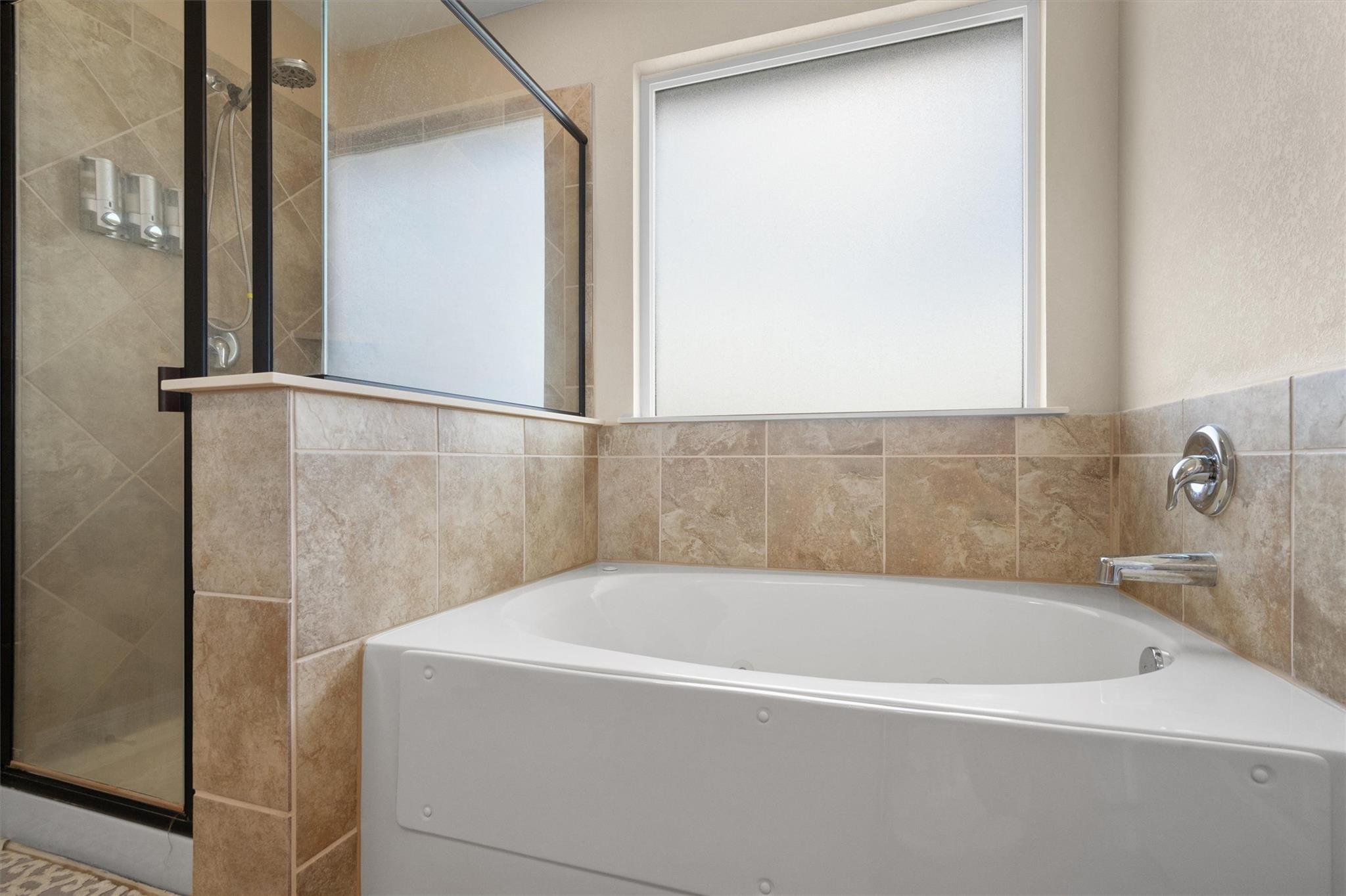 13733 James Garfield St, Manor, TX 78653