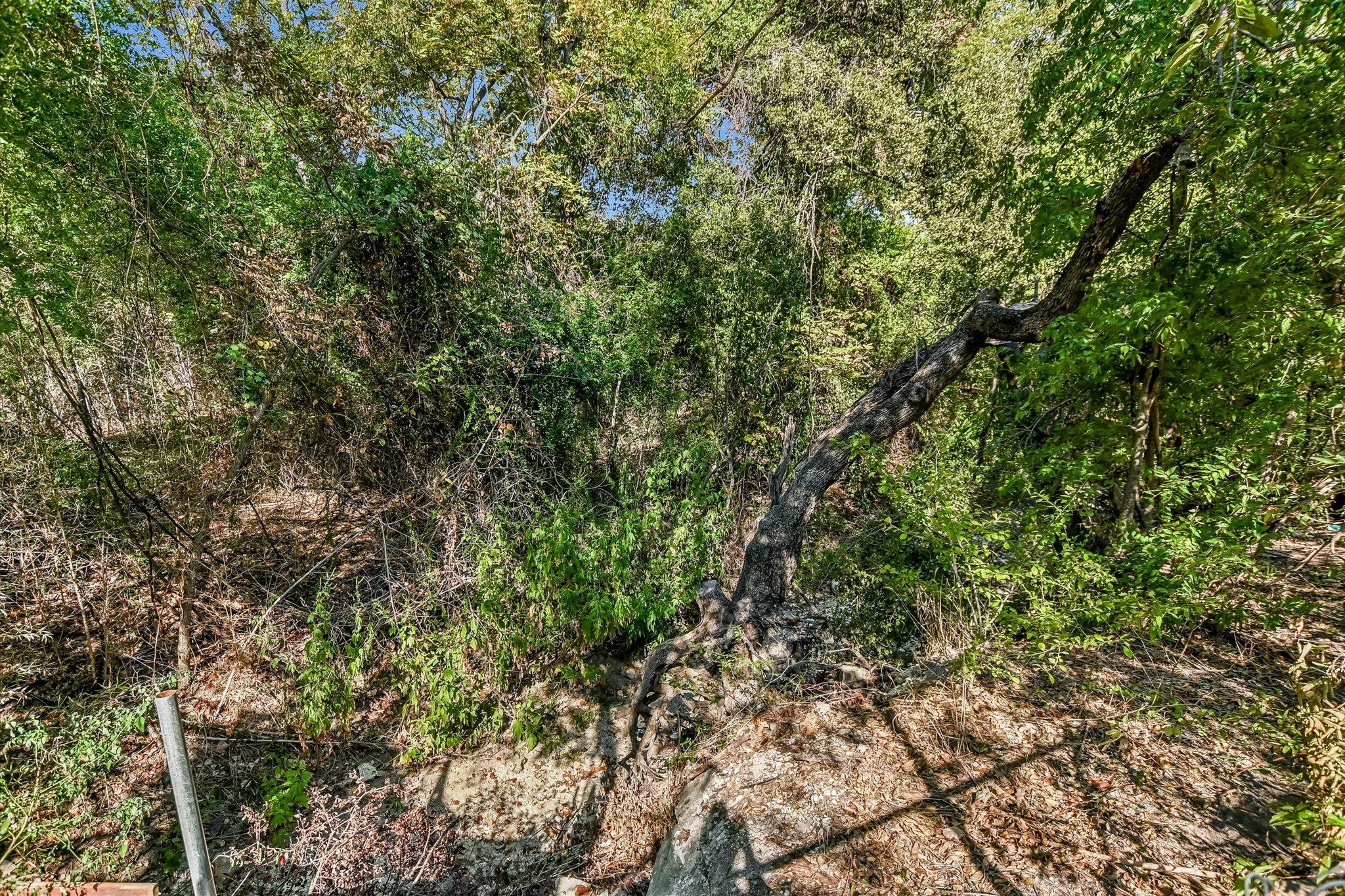 736 Wales Way, Austin, TX 78748