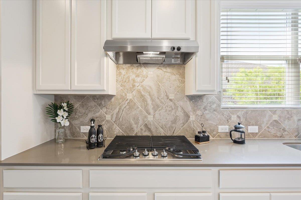 204 Cathedral Mountain Pass, Georgetown, TX 78633