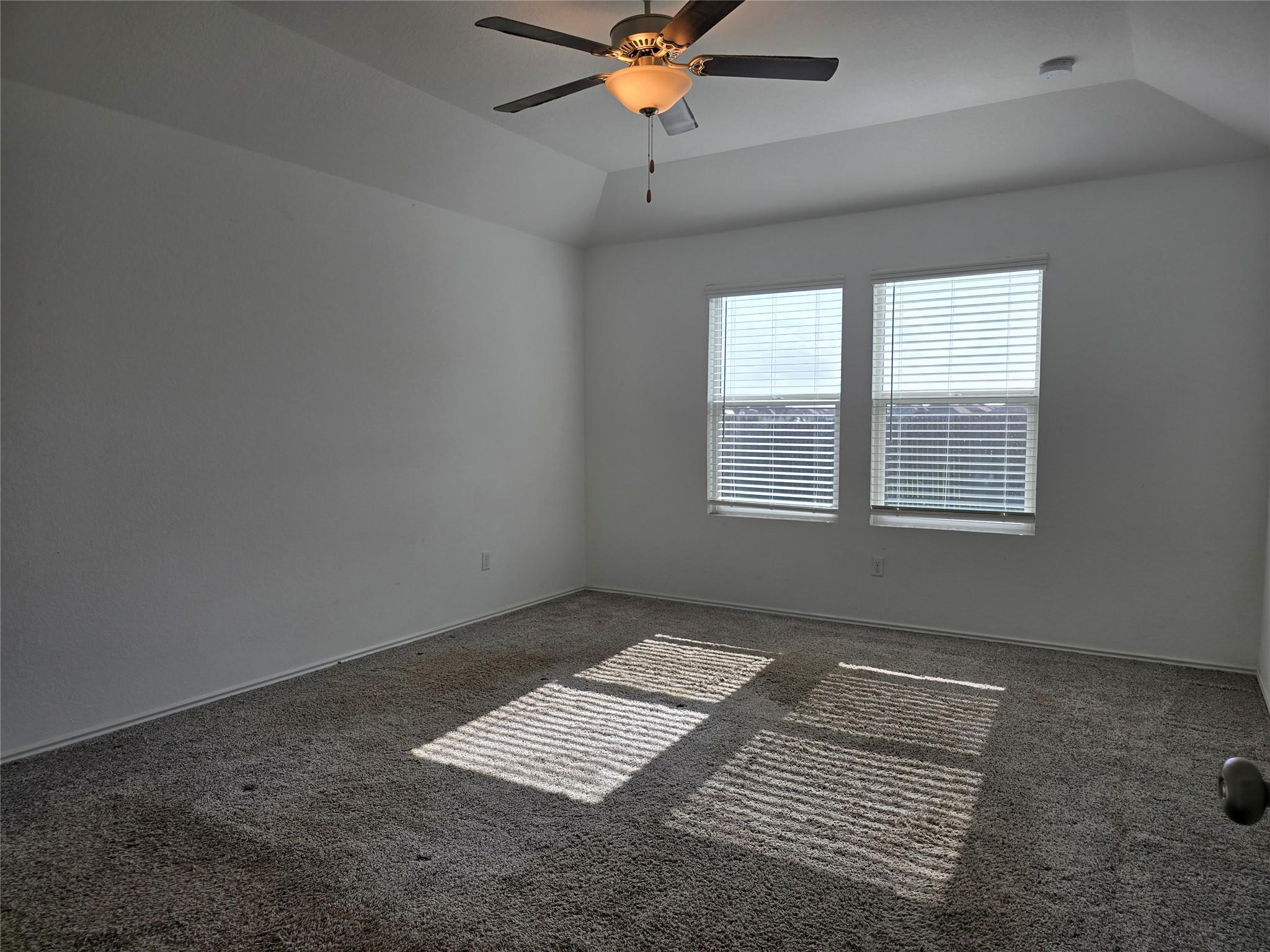 109 Mountain Maple St, Hutto, TX 78634