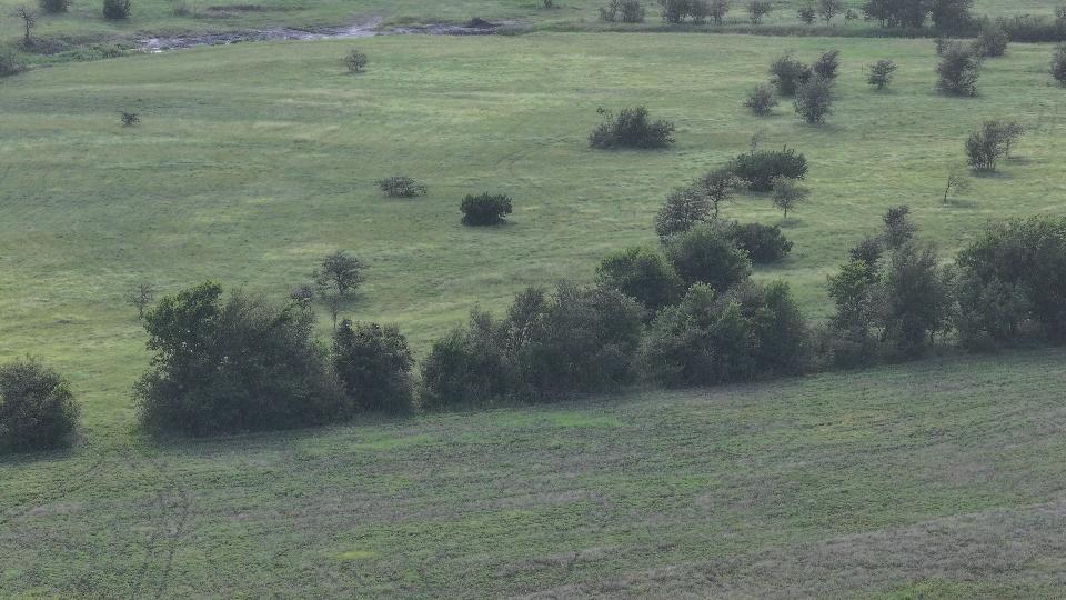 TBD Block 2 Lot 3 Hackberry Road, Salado, TX 76571