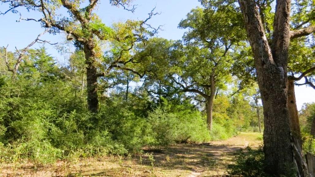 TBD Jack Rabbit Ln, Hearne, TX 77859