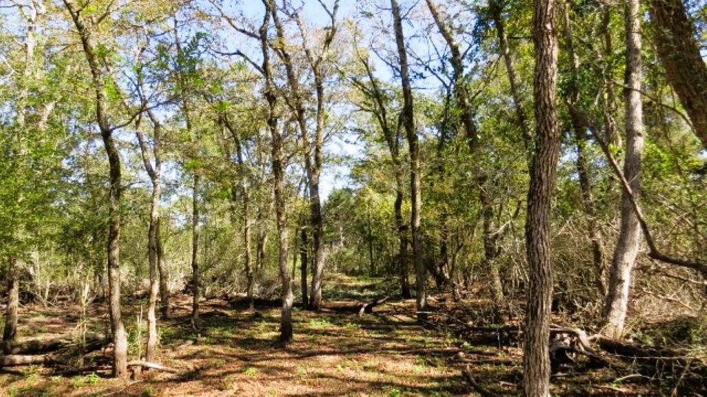 TBD Jack Rabbit Ln, Hearne, TX 77859