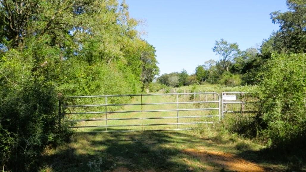 TBD Jack Rabbit Ln, Hearne, TX 77859