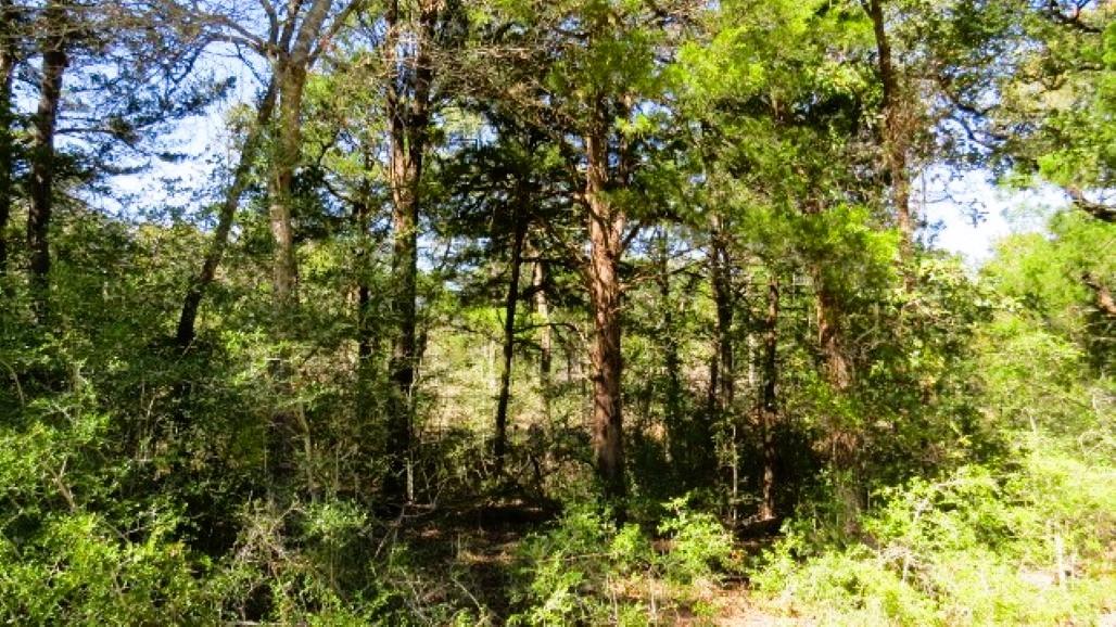 TBD Jack Rabbit Ln, Hearne, TX 77859