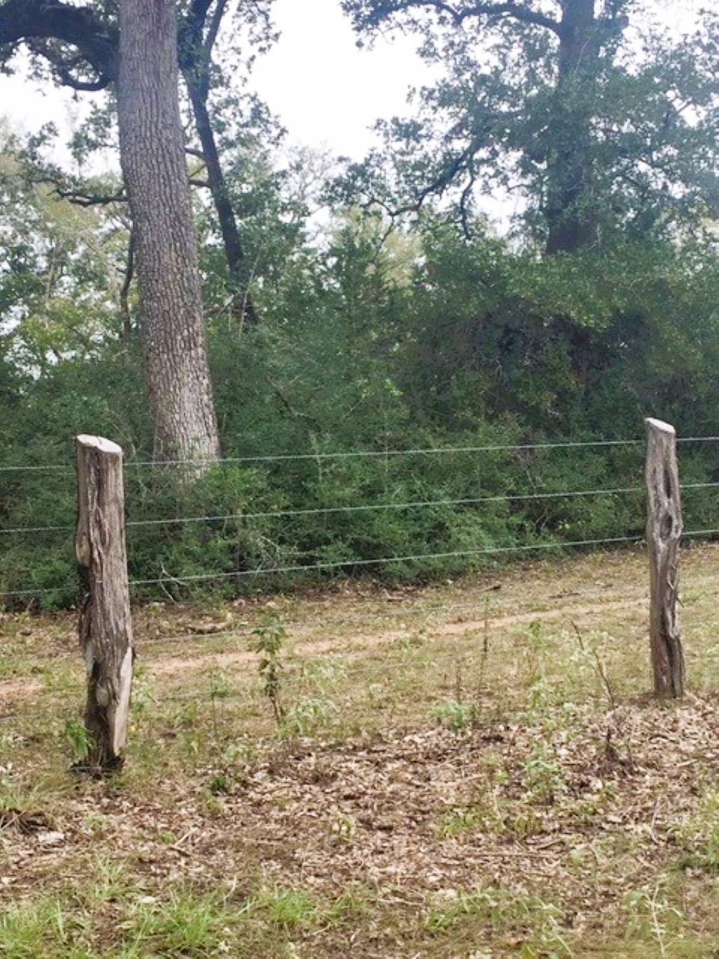 TBD Jack Rabbit Ln, Hearne, TX 77859