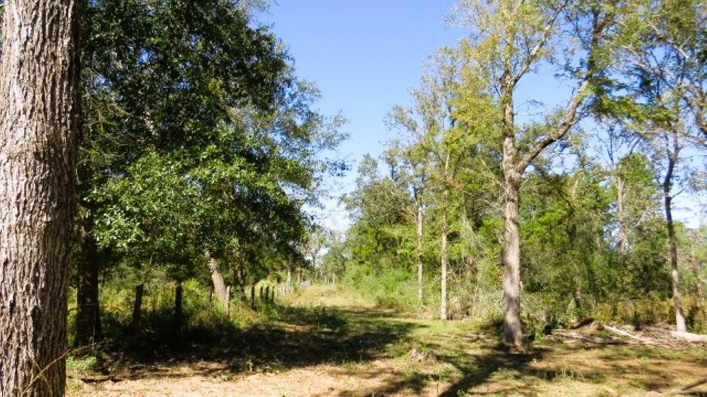 TBD Jack Rabbit Ln, Hearne, TX 77859