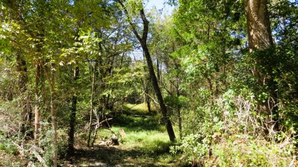 TBD Jack Rabbit Ln, Hearne, TX 77859