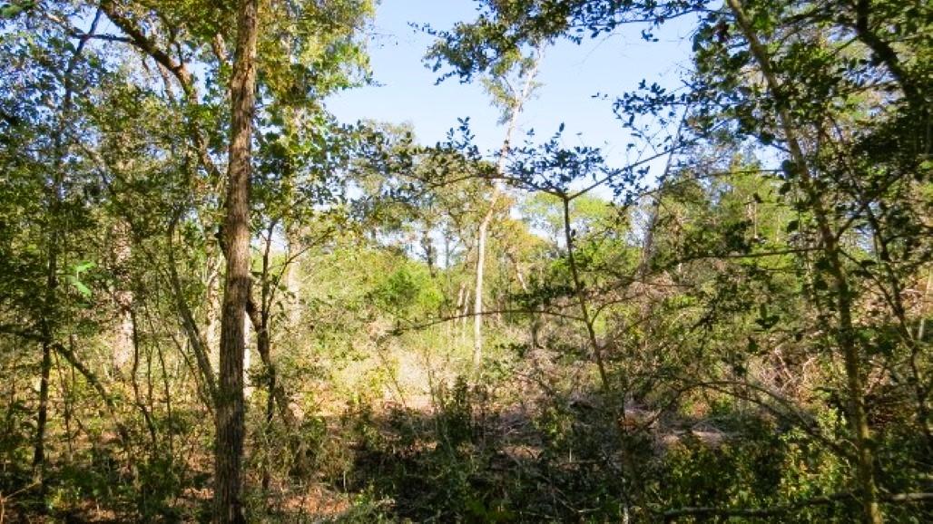 TBD Jack Rabbit Ln, Hearne, TX 77859