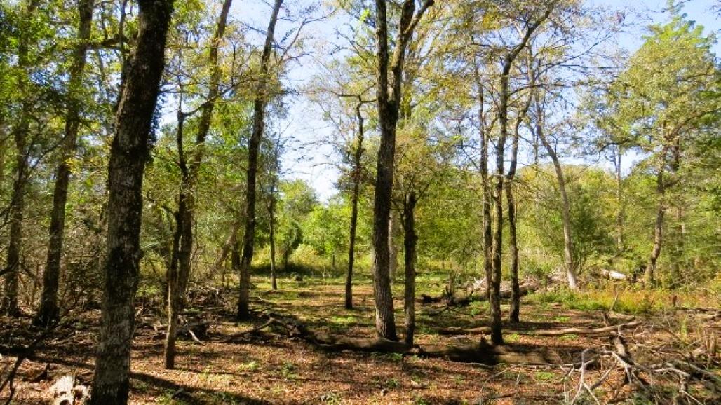 TBD Jack Rabbit Ln, Hearne, TX 77859