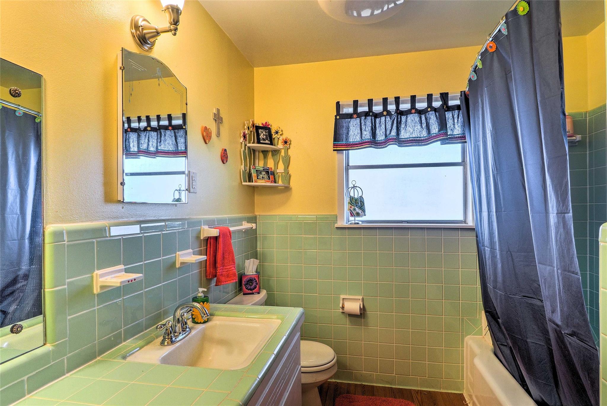 210 Lake Loop, Tow, TX 78672