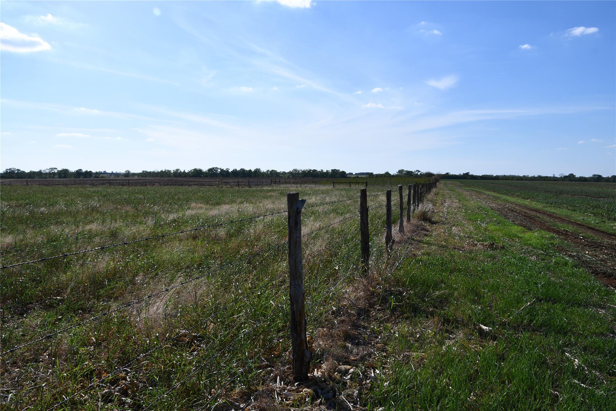 TBD 000 County Rd 269, Oglesby, TX 76561