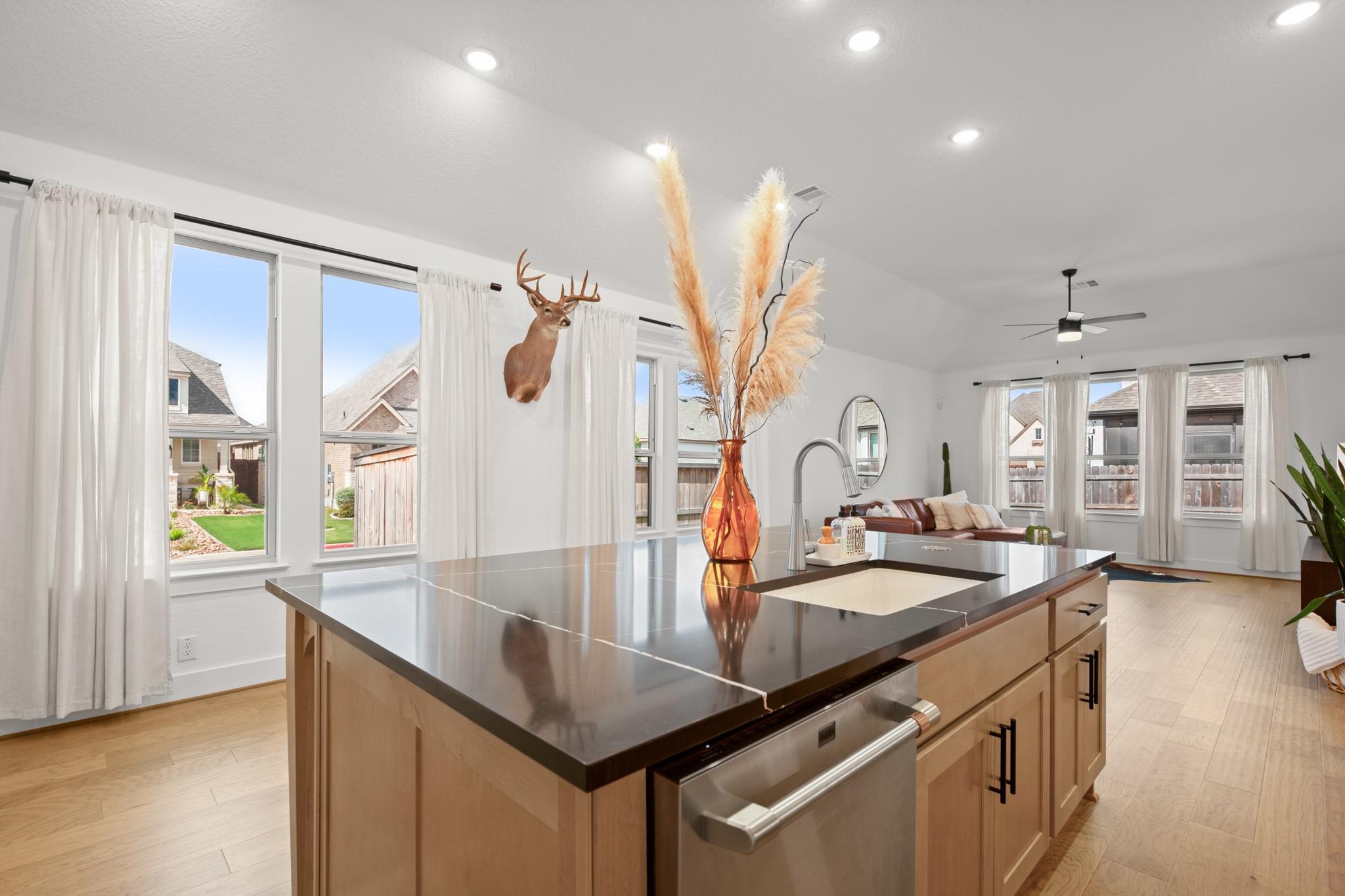 1015 Lime Gruene, New Braunfels, TX 78130