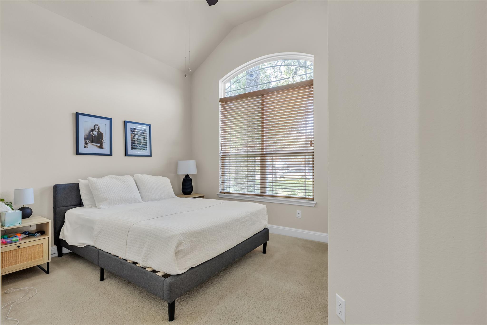 11813 Rosario Cv, Austin, TX 78739