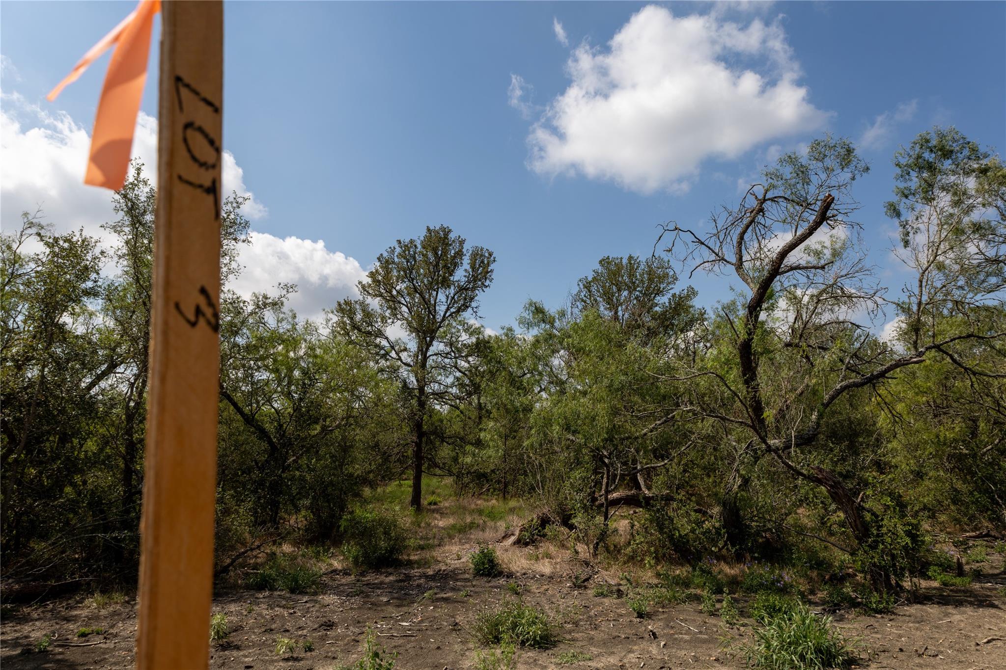 199 Brinley Mae Way, Lockhart, TX 78644