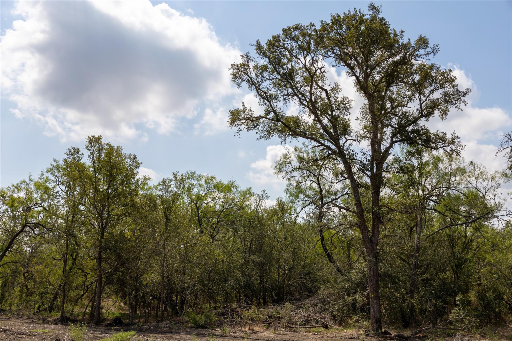 199 Brinley Mae Way, Lockhart, TX 78644