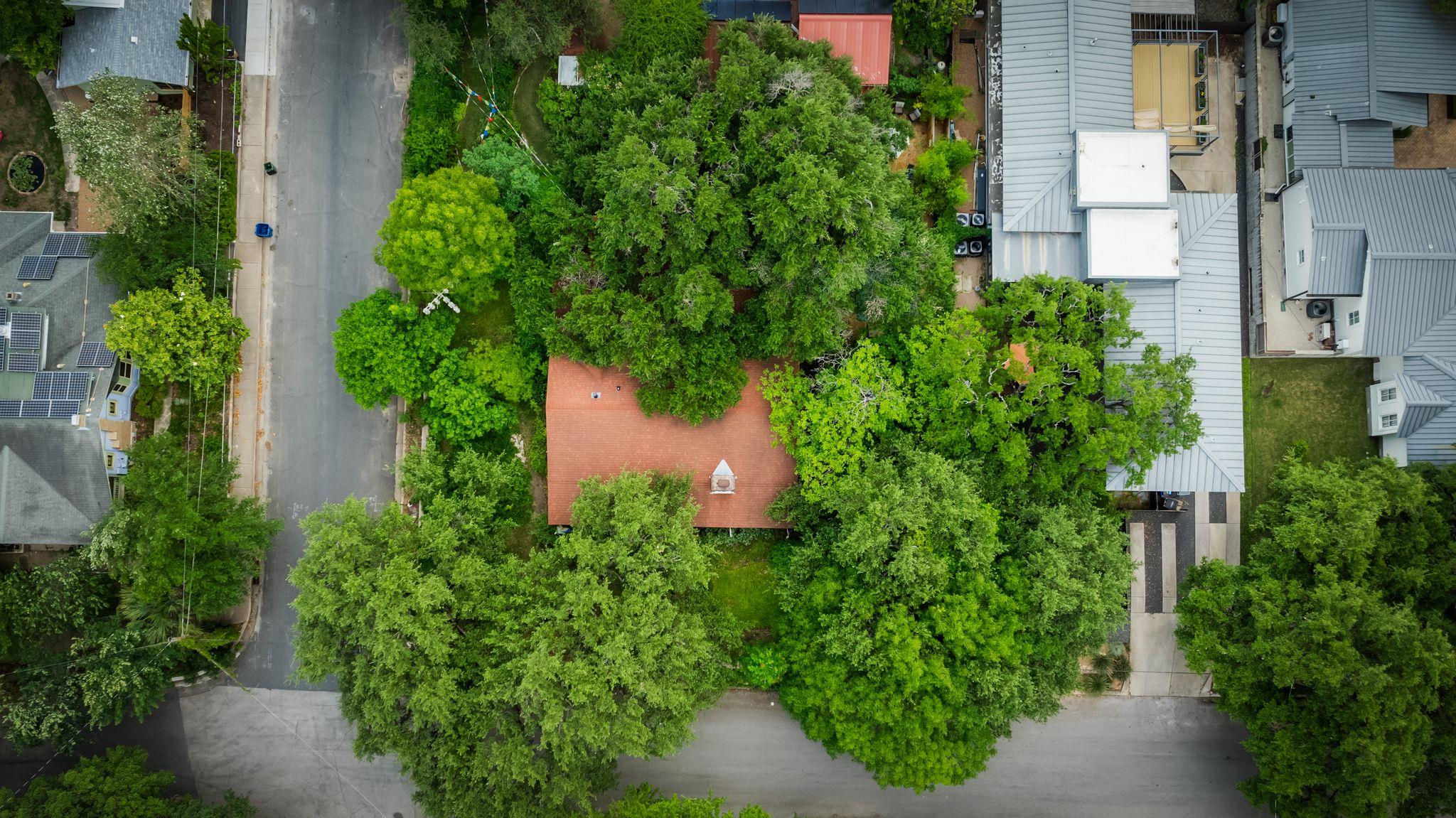 221 Park Ln, Austin, TX 78704