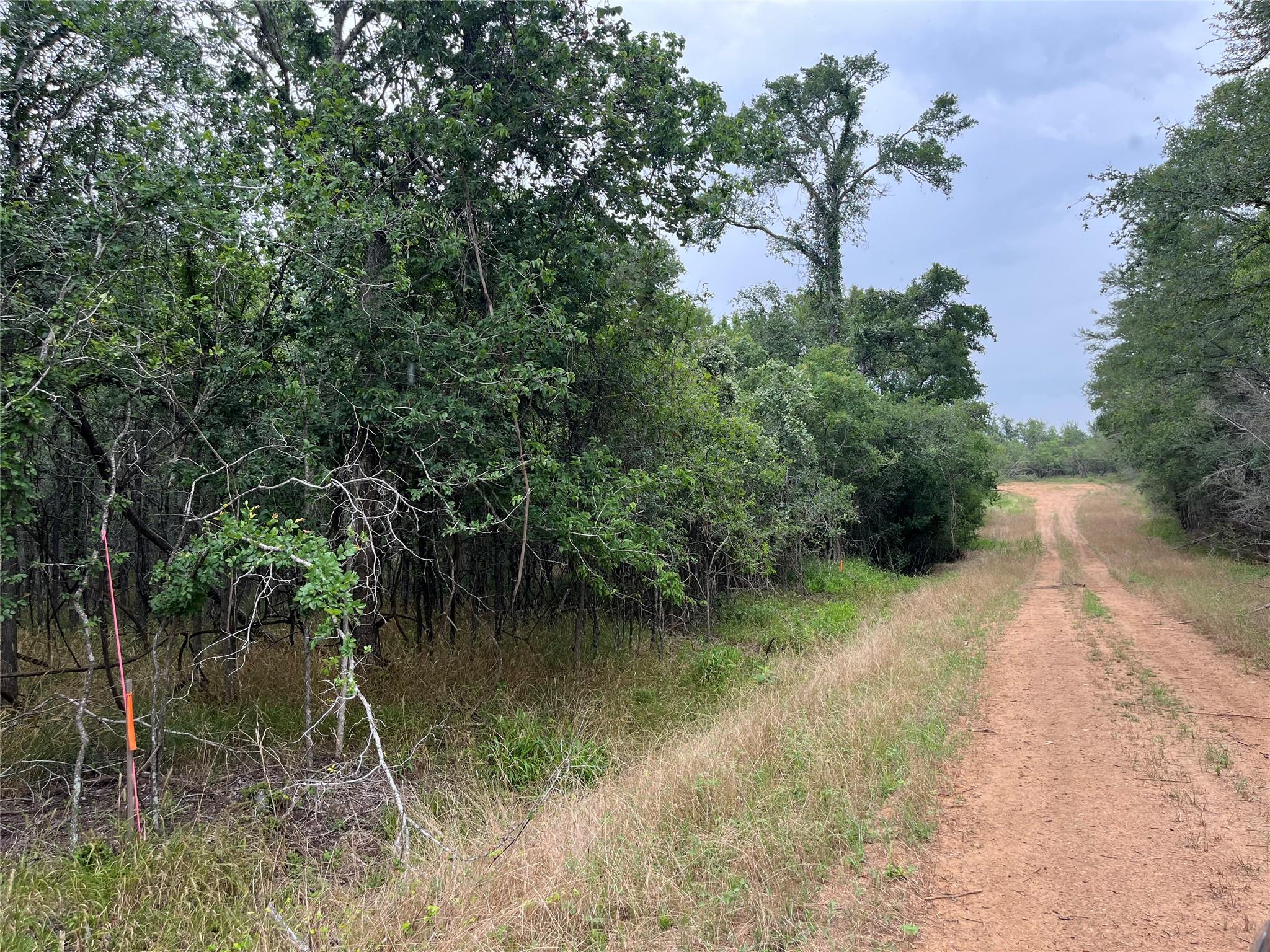 000 Kaaawa Ln # 5, Bastrop, TX 78602