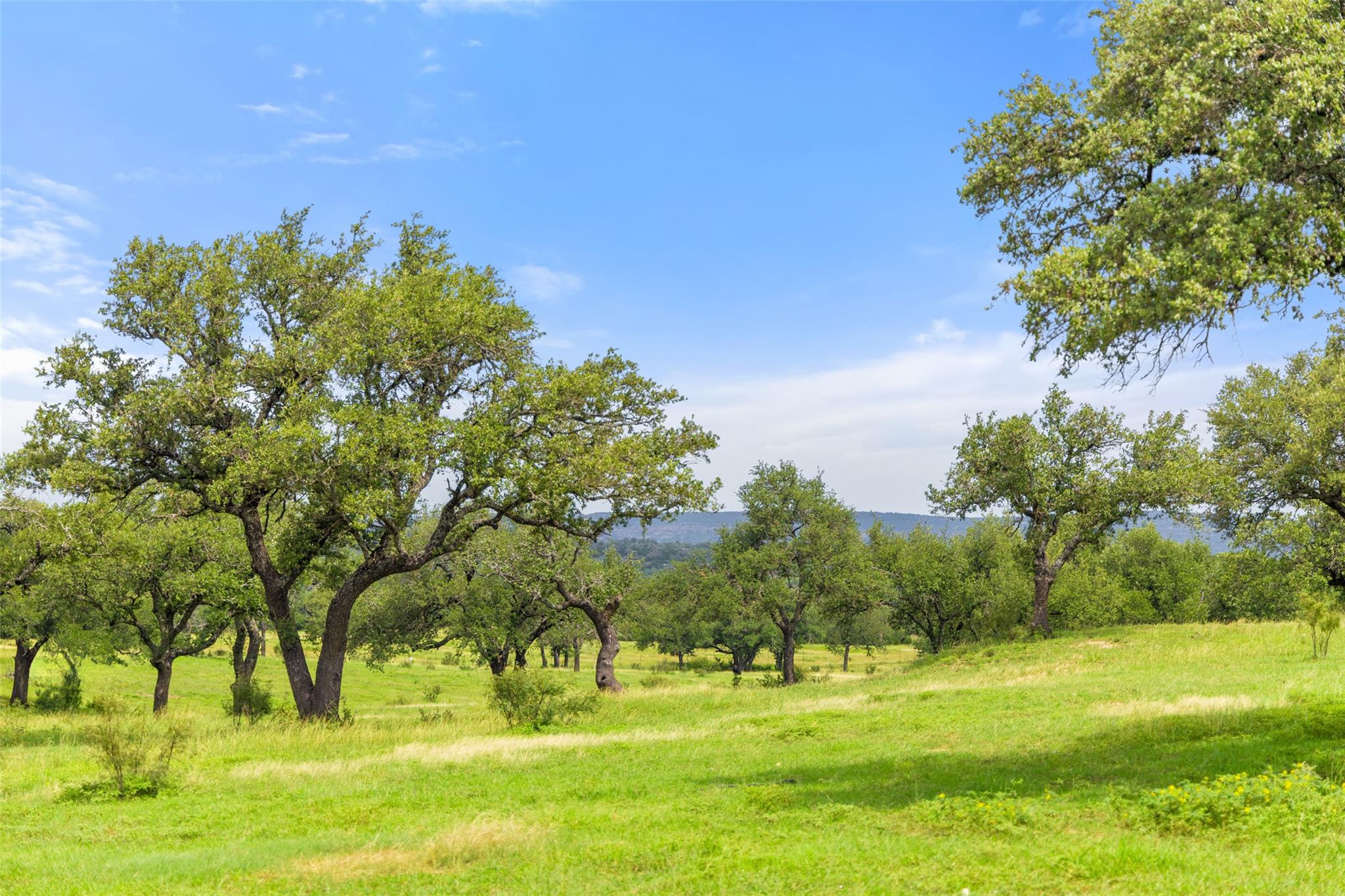 9069-47 Ranch Road 1323 Rd, Fredericksburg, TX 78624