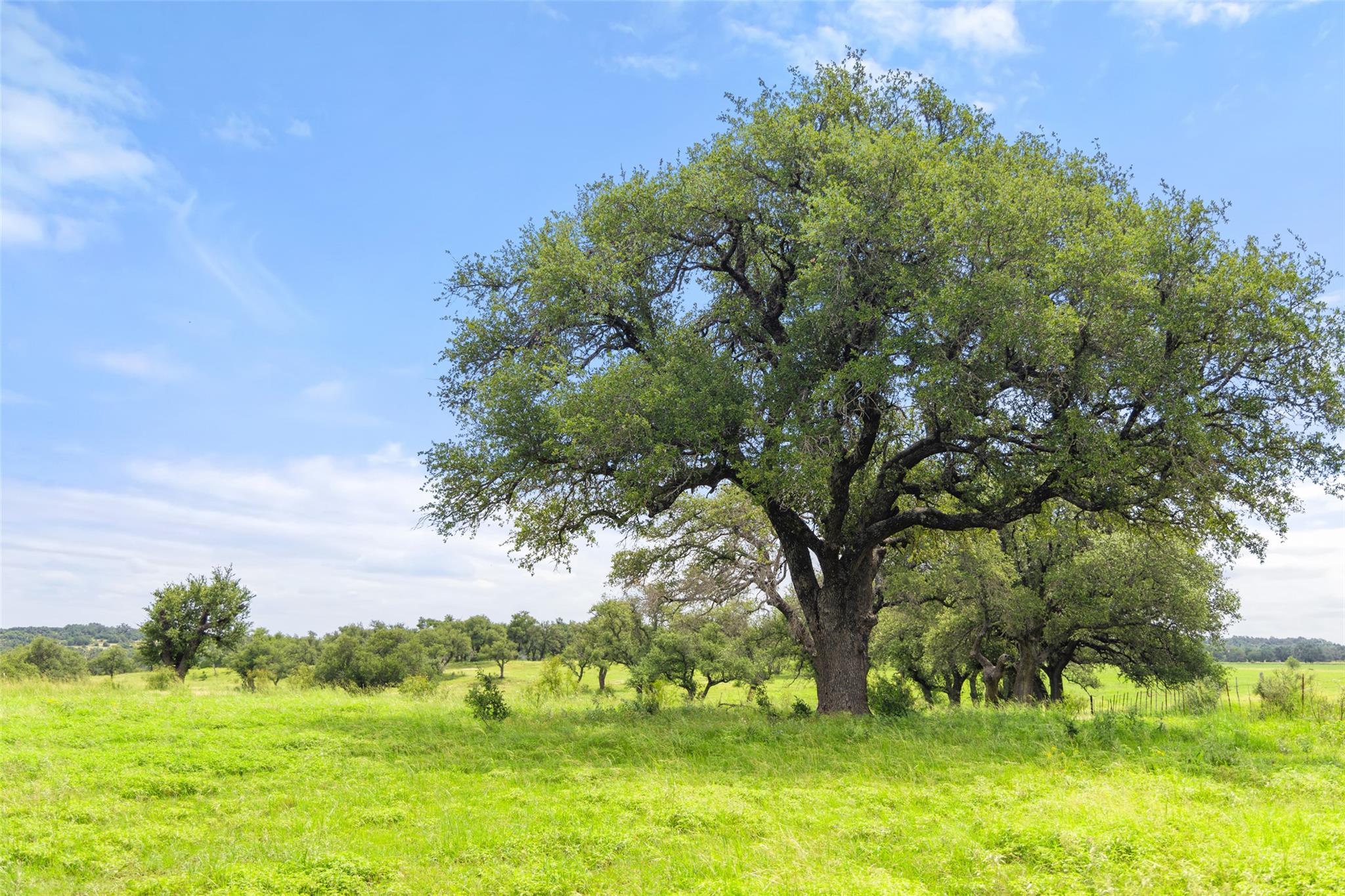 9069-47 Ranch Road 1323 Rd, Fredericksburg, TX 78624