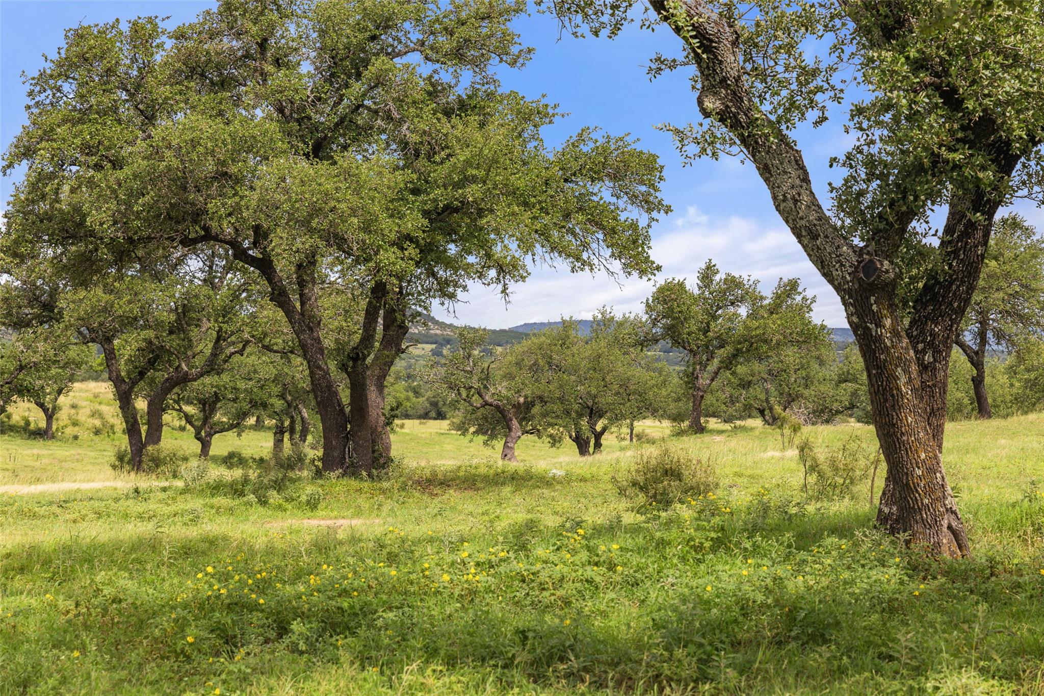 9069-47 Ranch Road 1323 Rd, Fredericksburg, TX 78624
