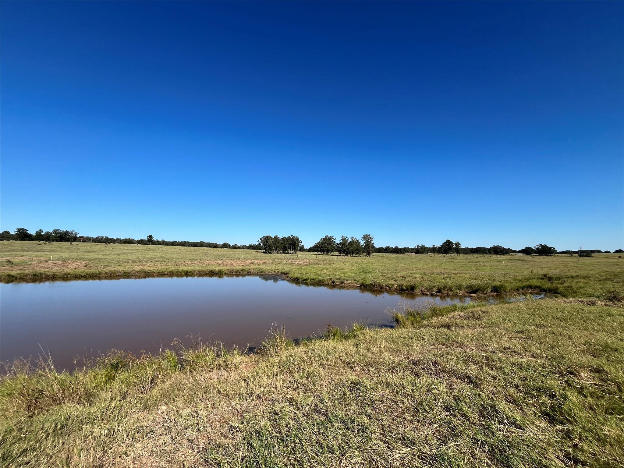1078 Old Pin Oak Rd # Tracts 1 & 2, Paige, TX 78659
