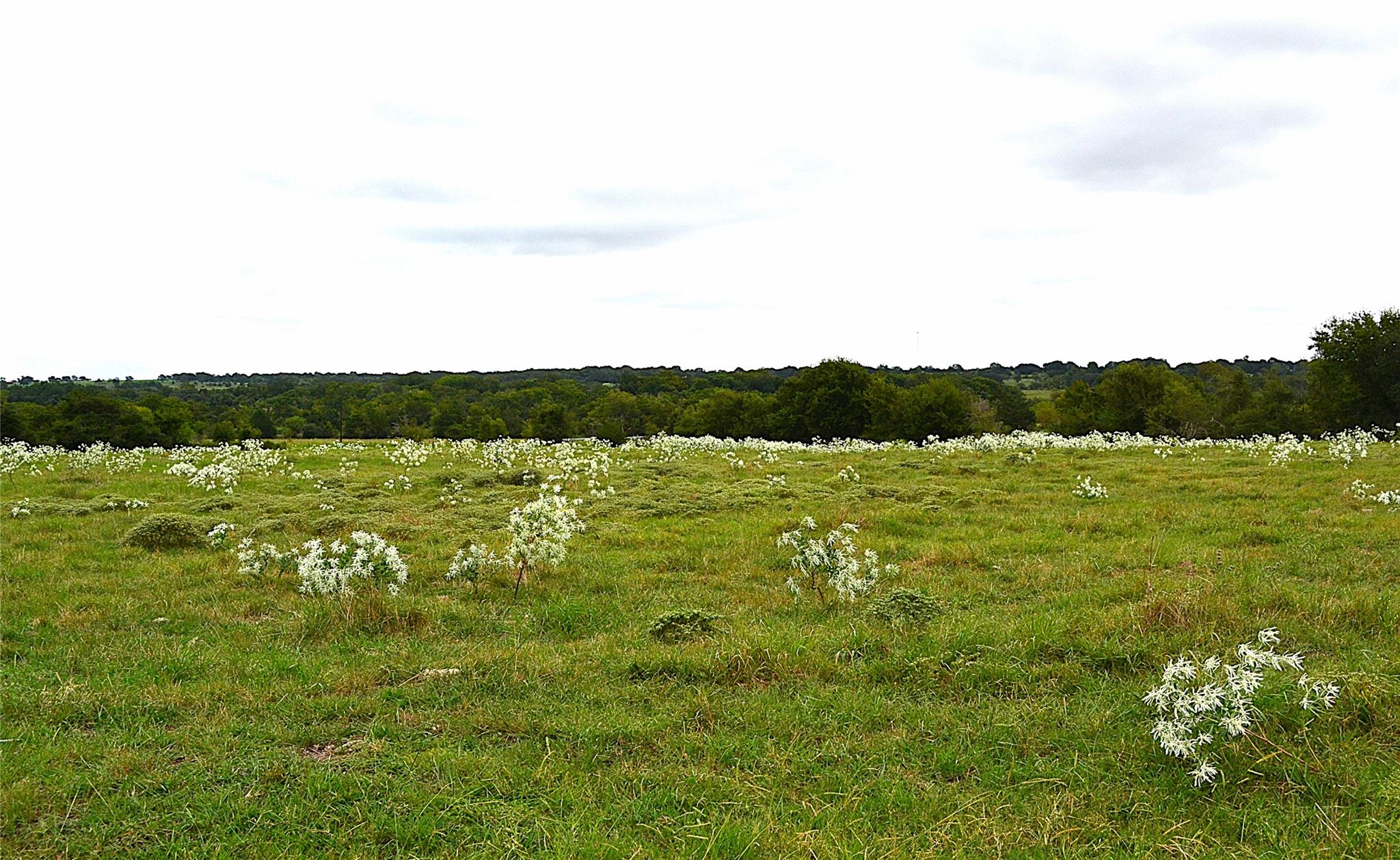00 Hwy 90 E., Schulenburg, TX 78956